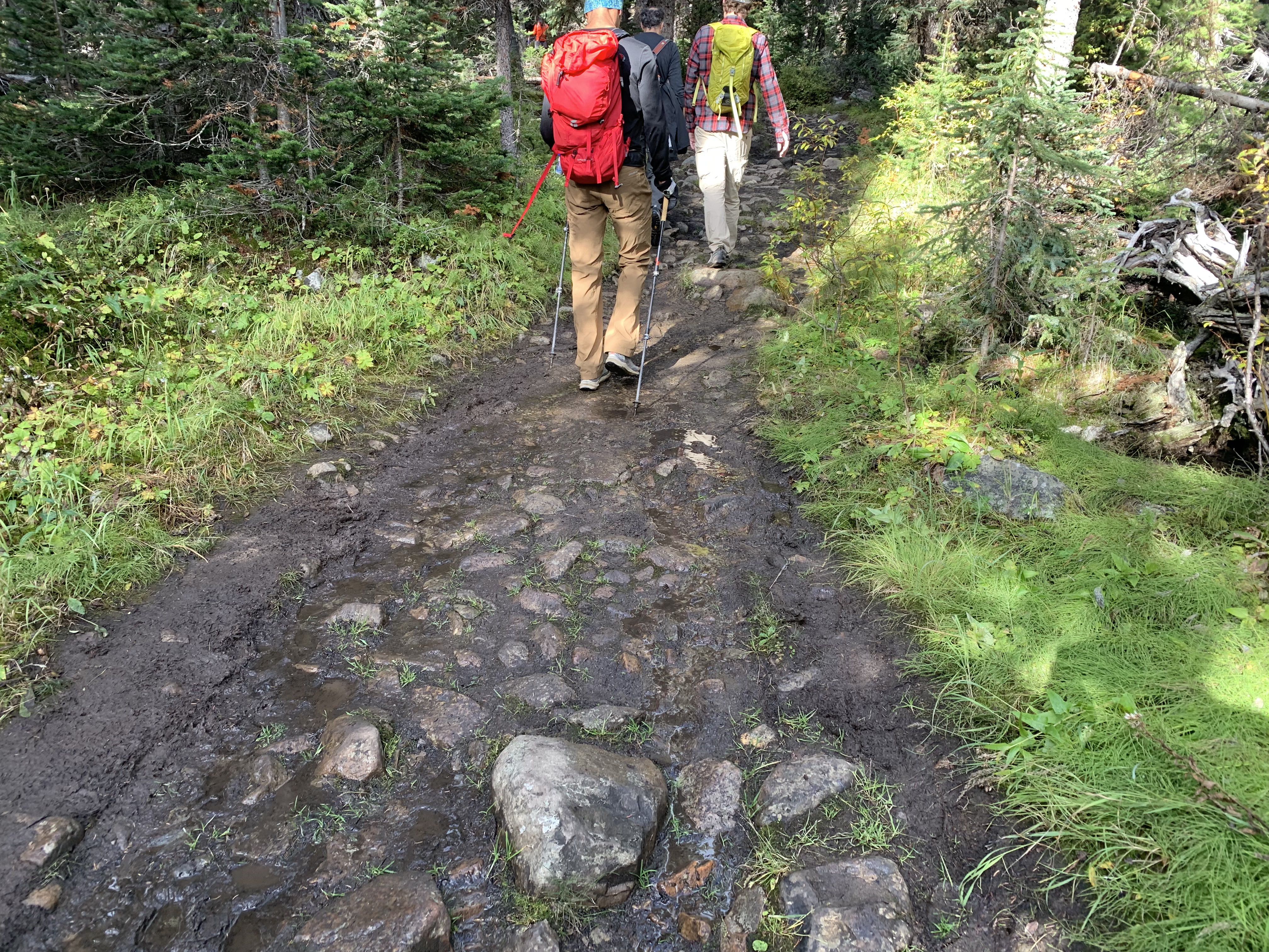 Mud on the Taylor Lake Trail