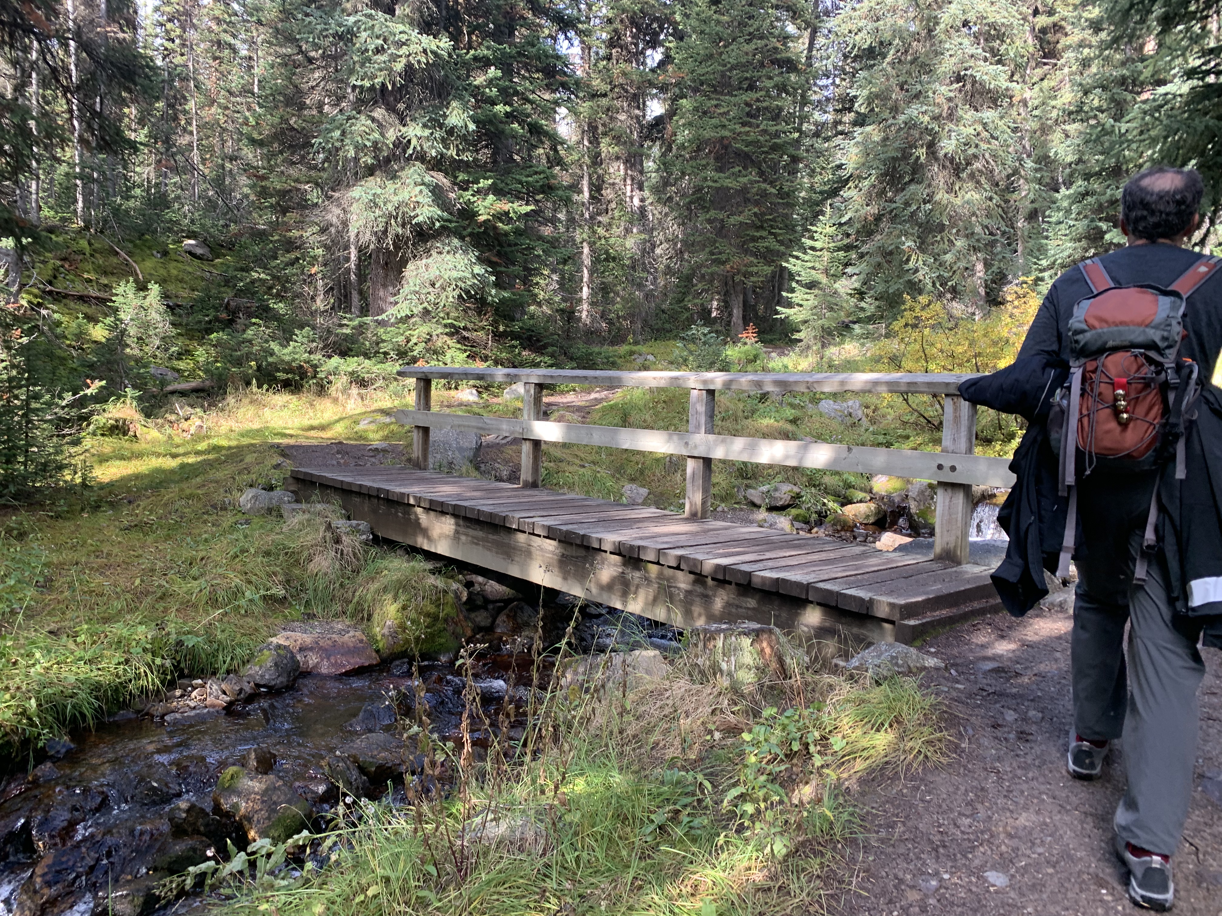 The bridge on the Taylor Lake Trail