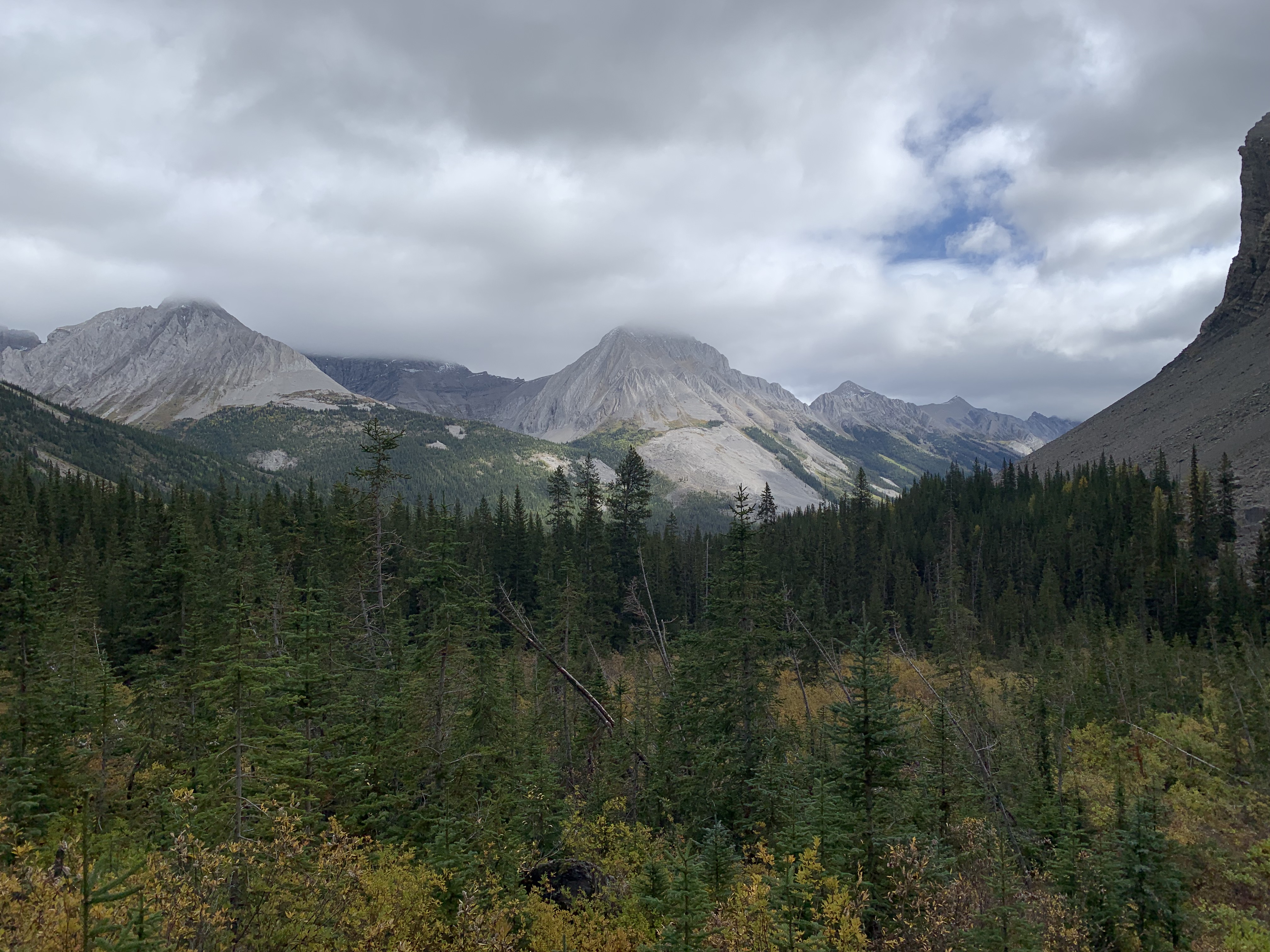 A view from Assiniboine Pass Trail