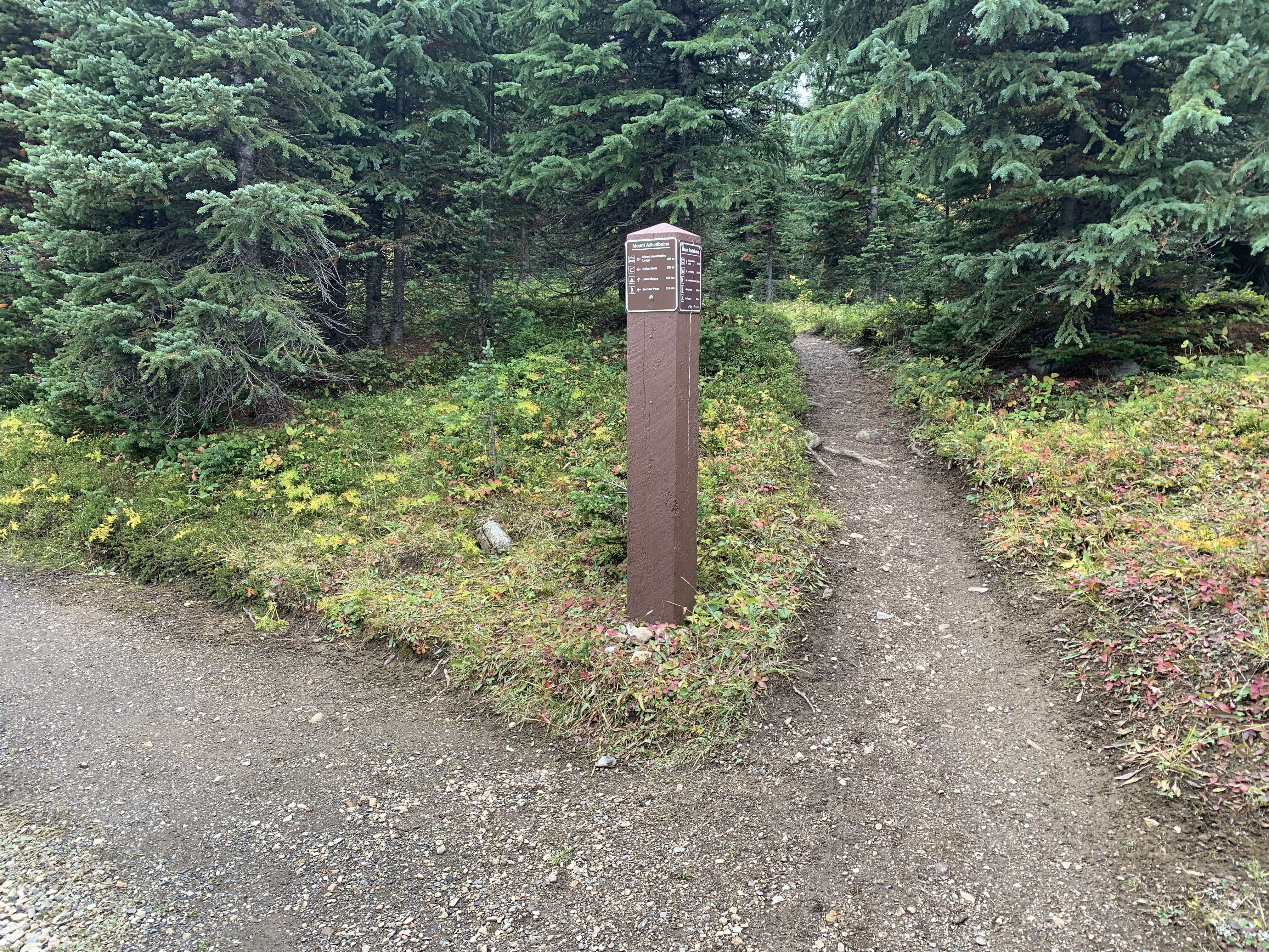 A sign on the way from Assiniboine Pass to Lake Magog