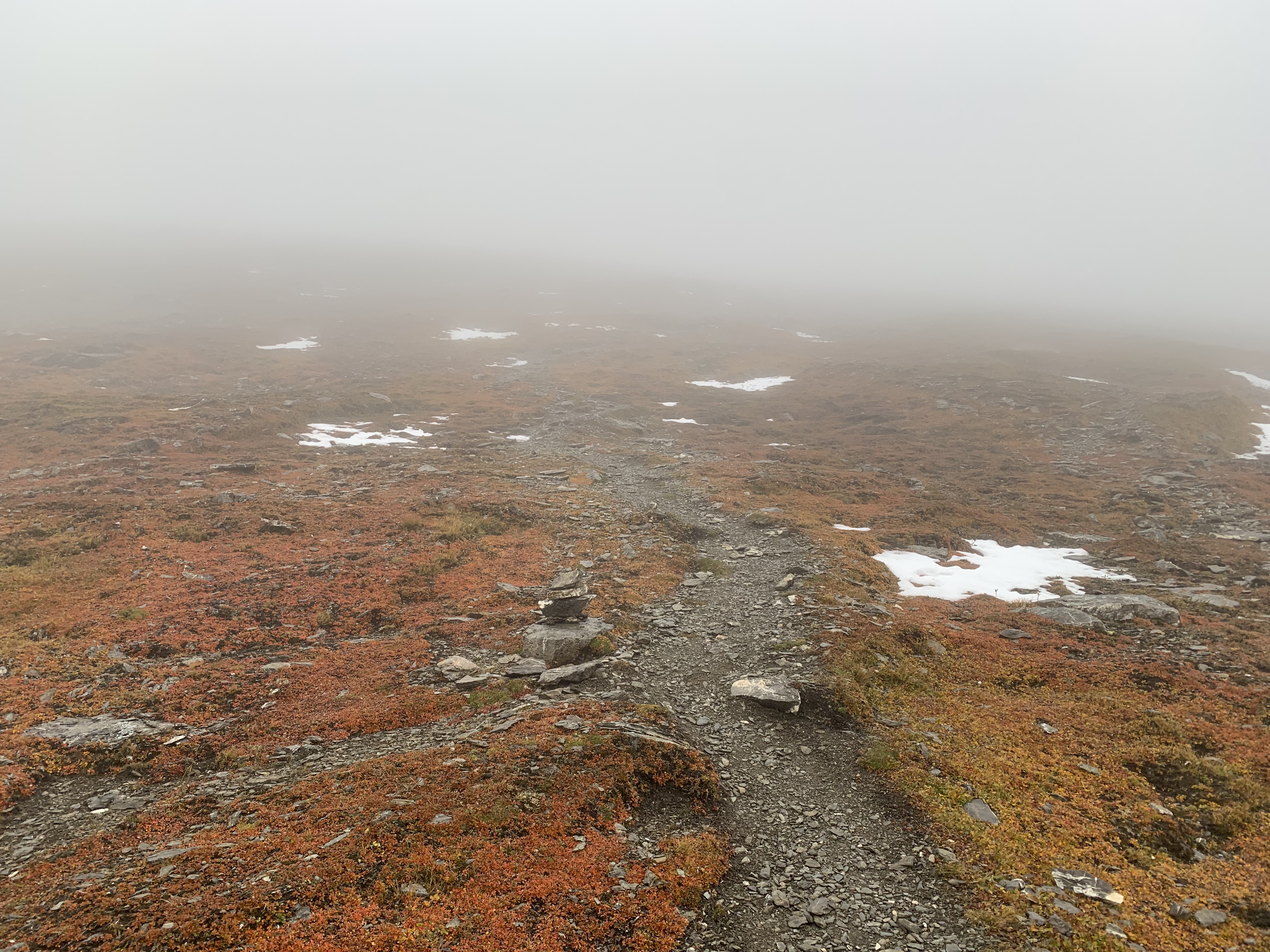 Looking back up the meadow on Nub Peak