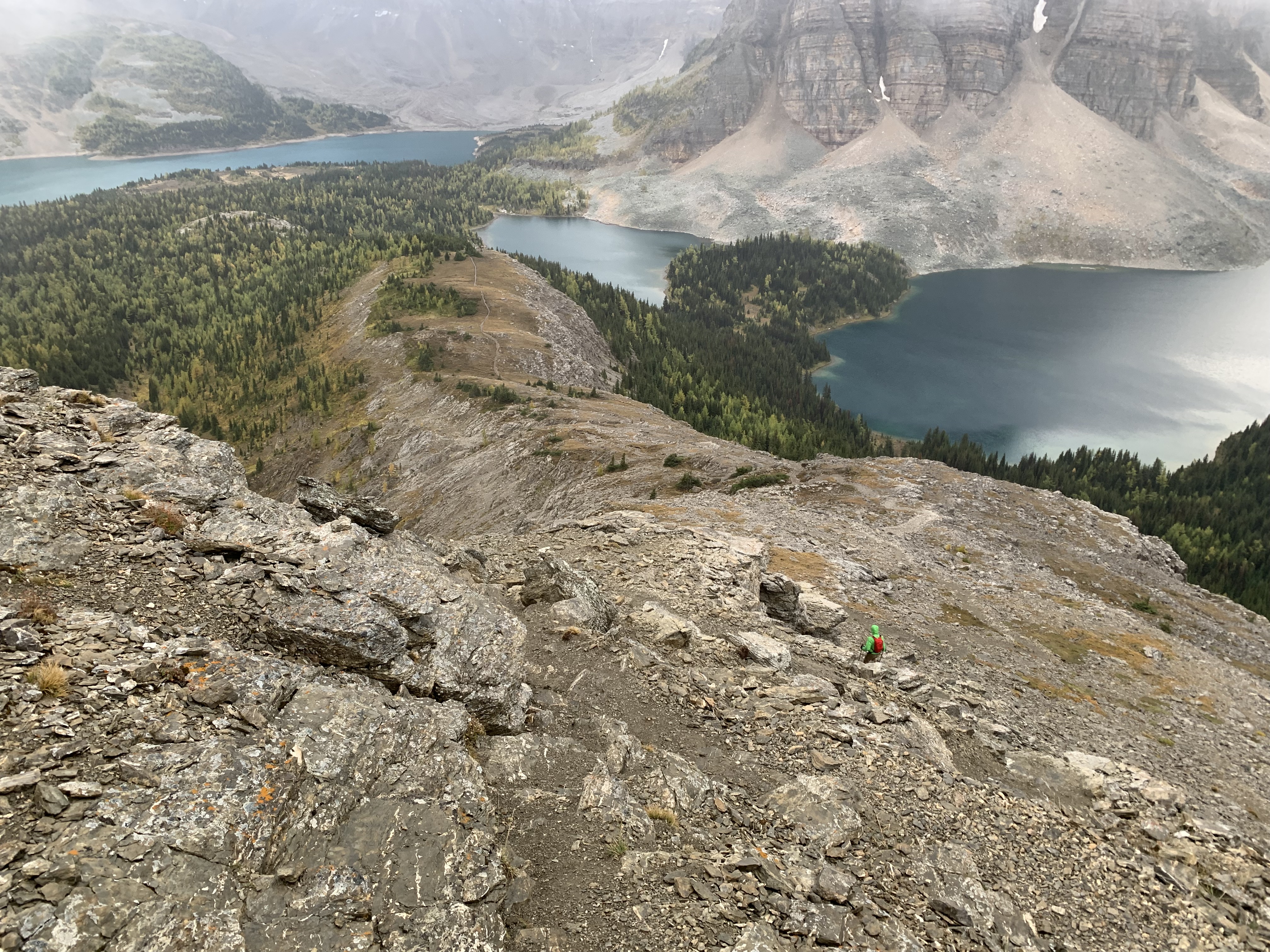 Descending from the Nublet to the Niblet