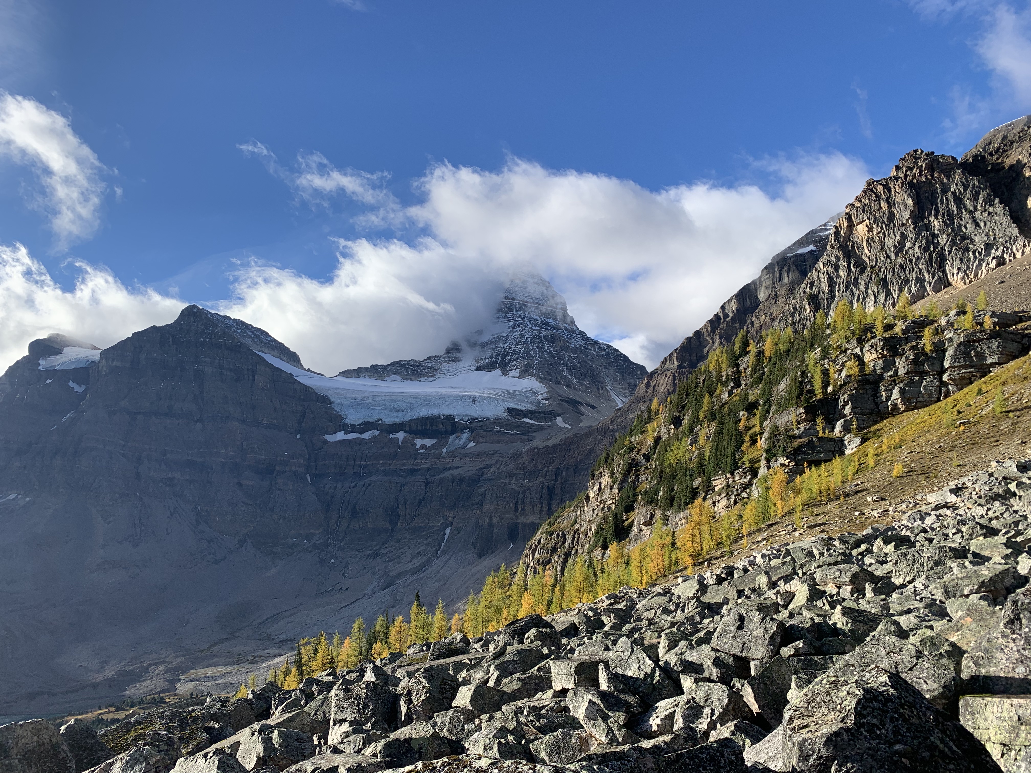 Mount Assiniboine and larches from Sunburst Peak