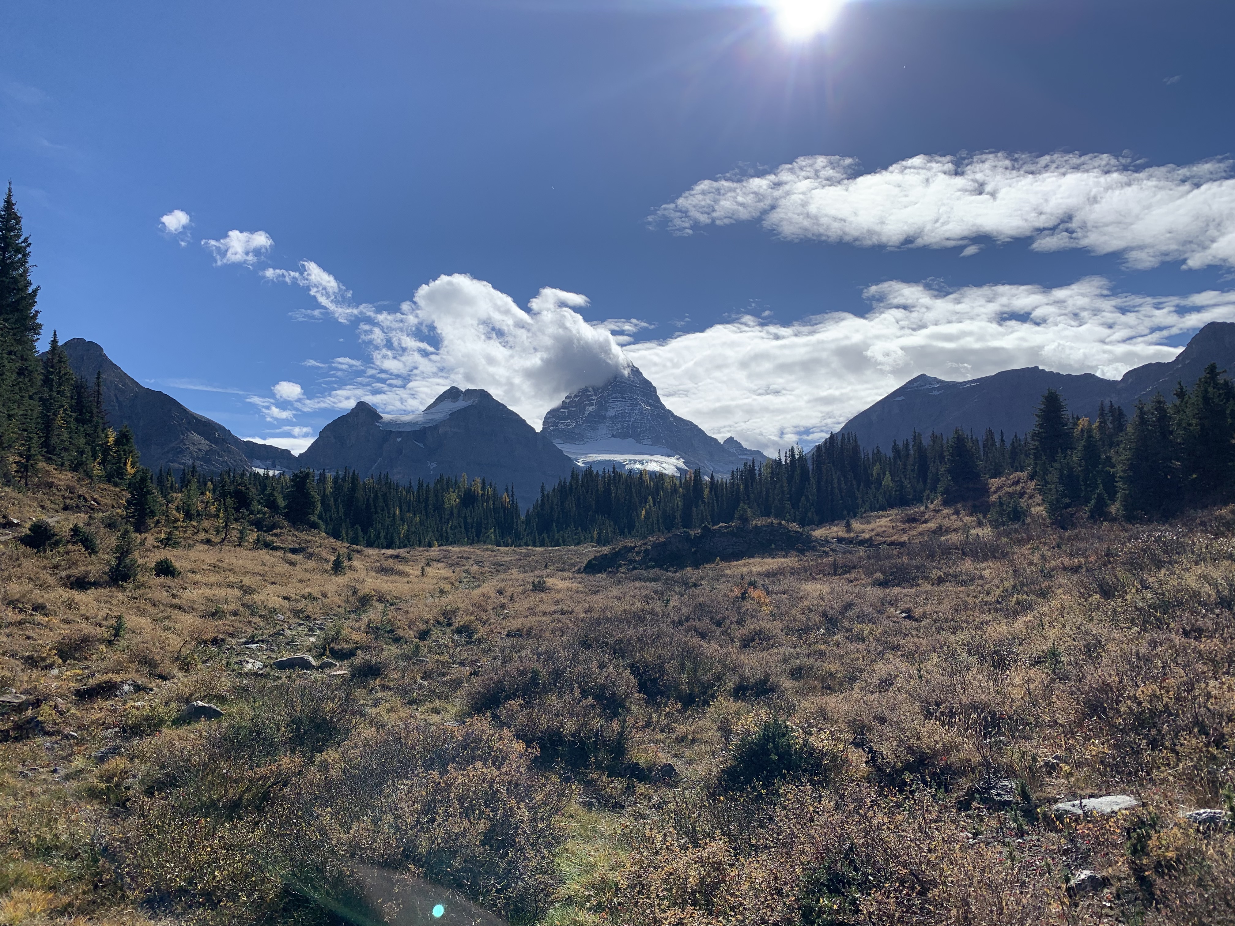 Looking back at Mount Assiniboine from the trail to Og Lake