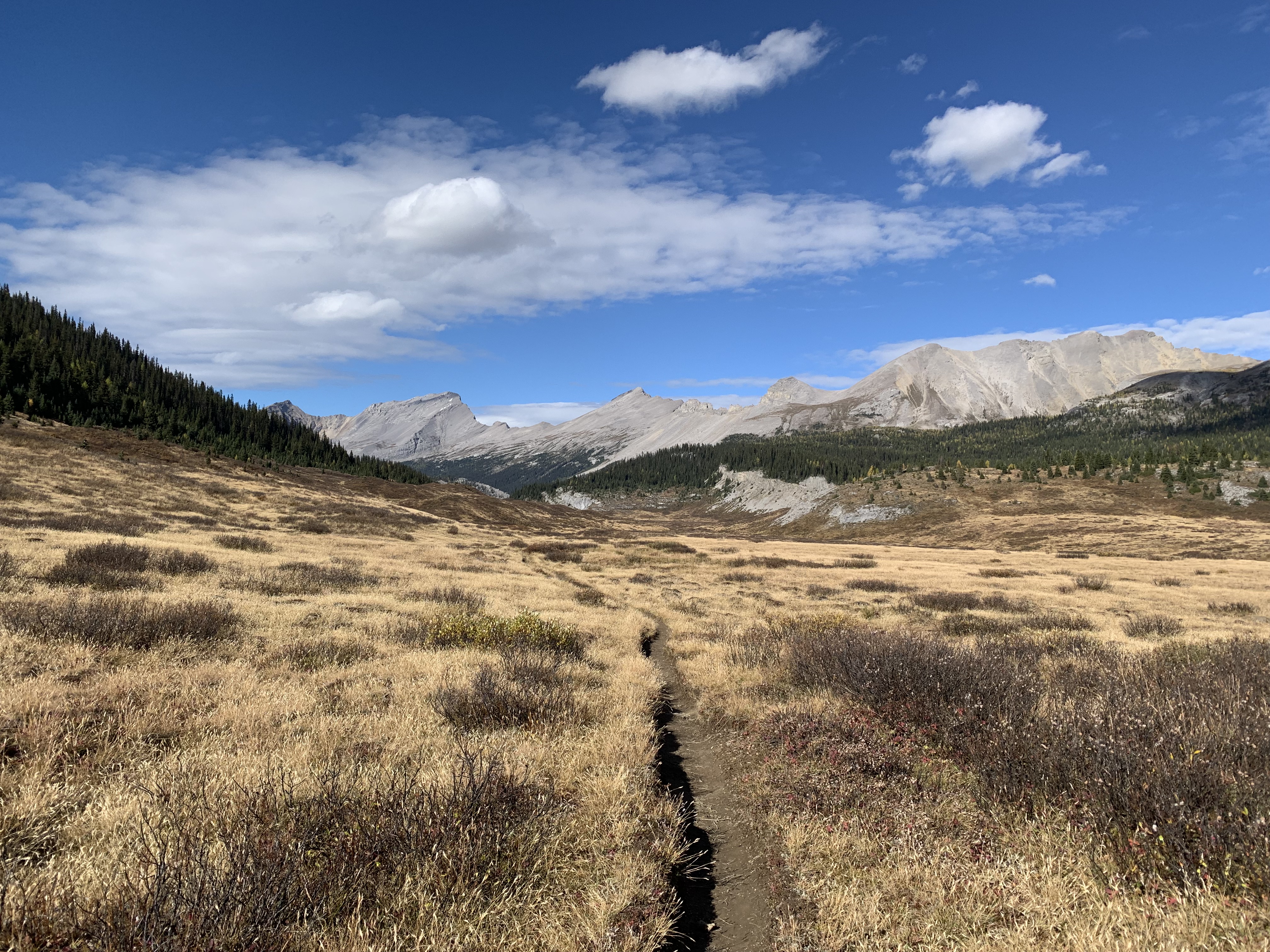 Further along on the trail to Og Lake