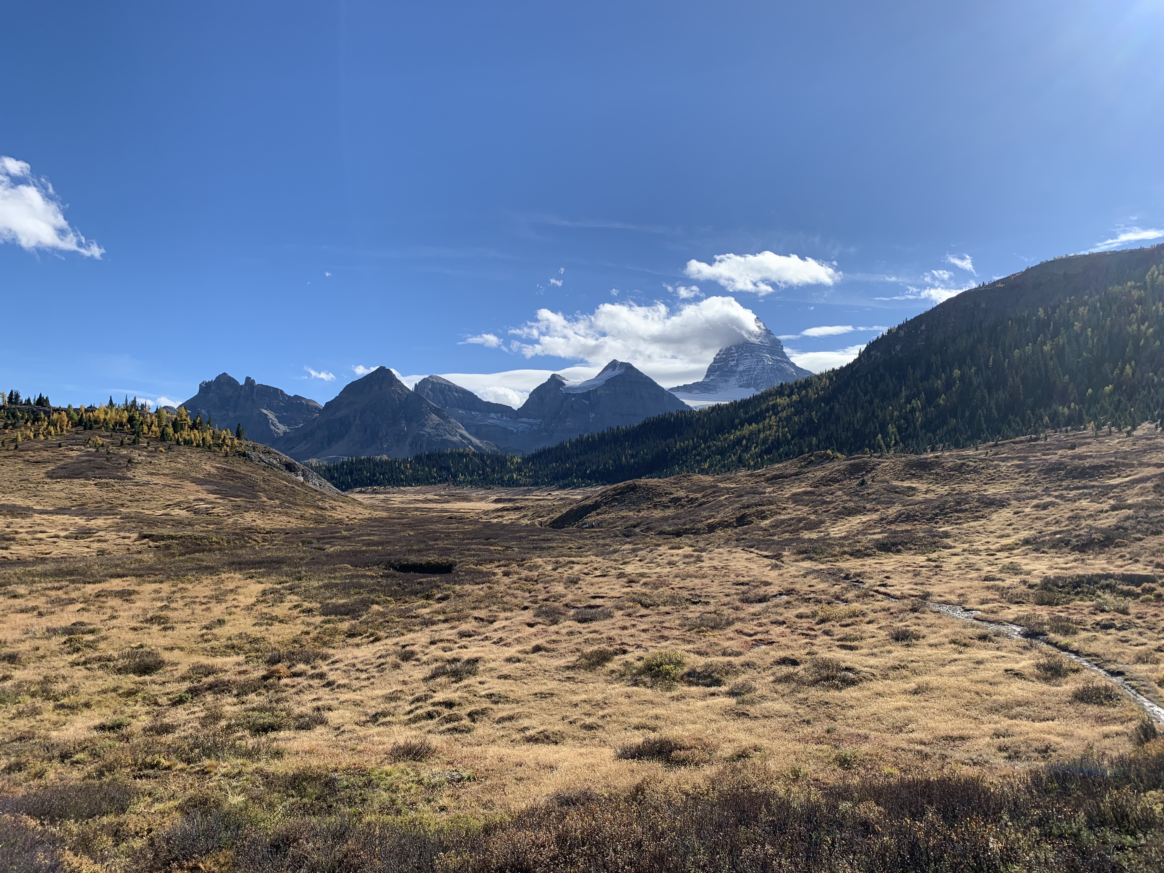 Mount Assiniboine from the trail to Og Lake