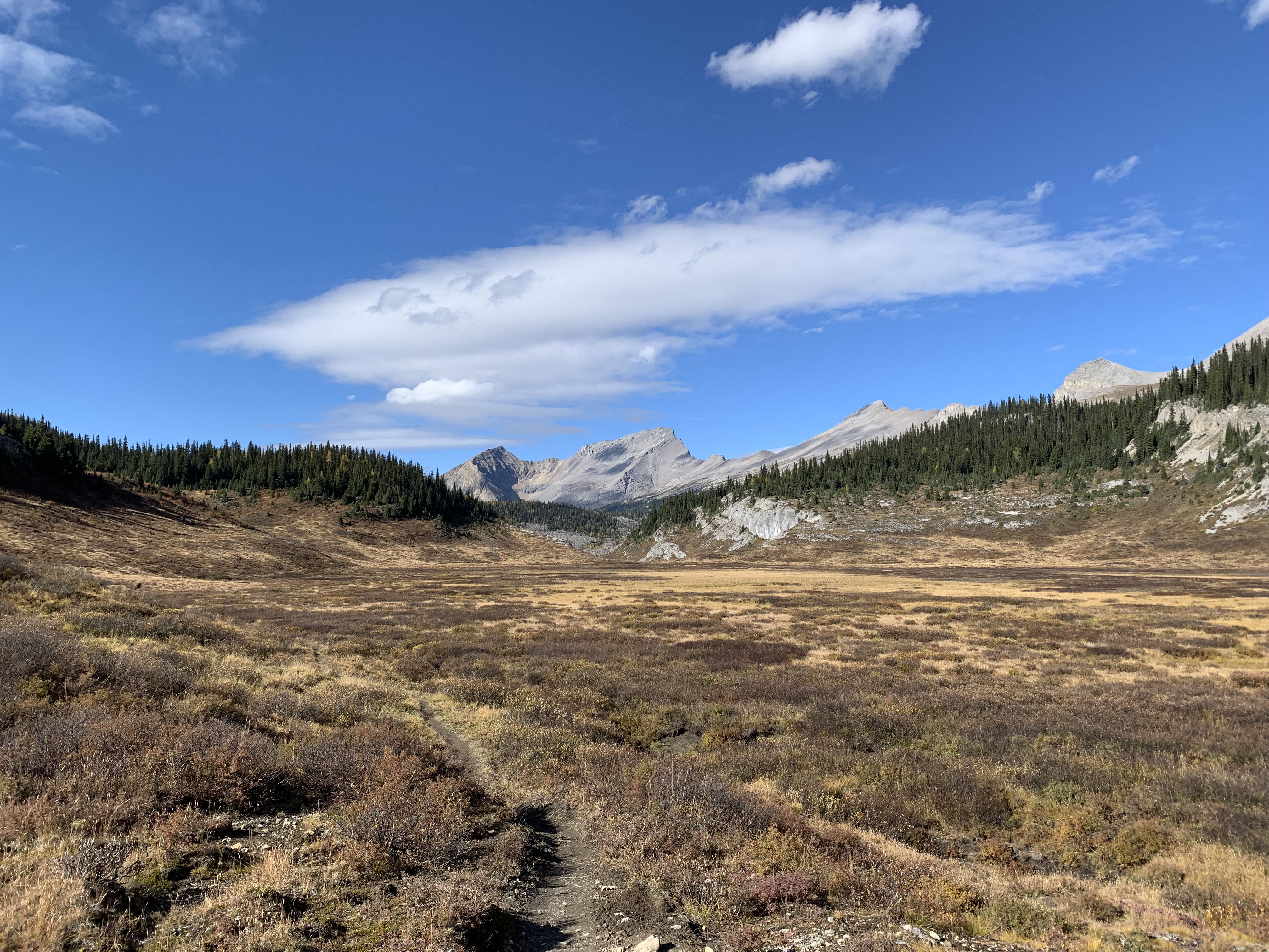 At the end of the meadow on the trail to Og Lake