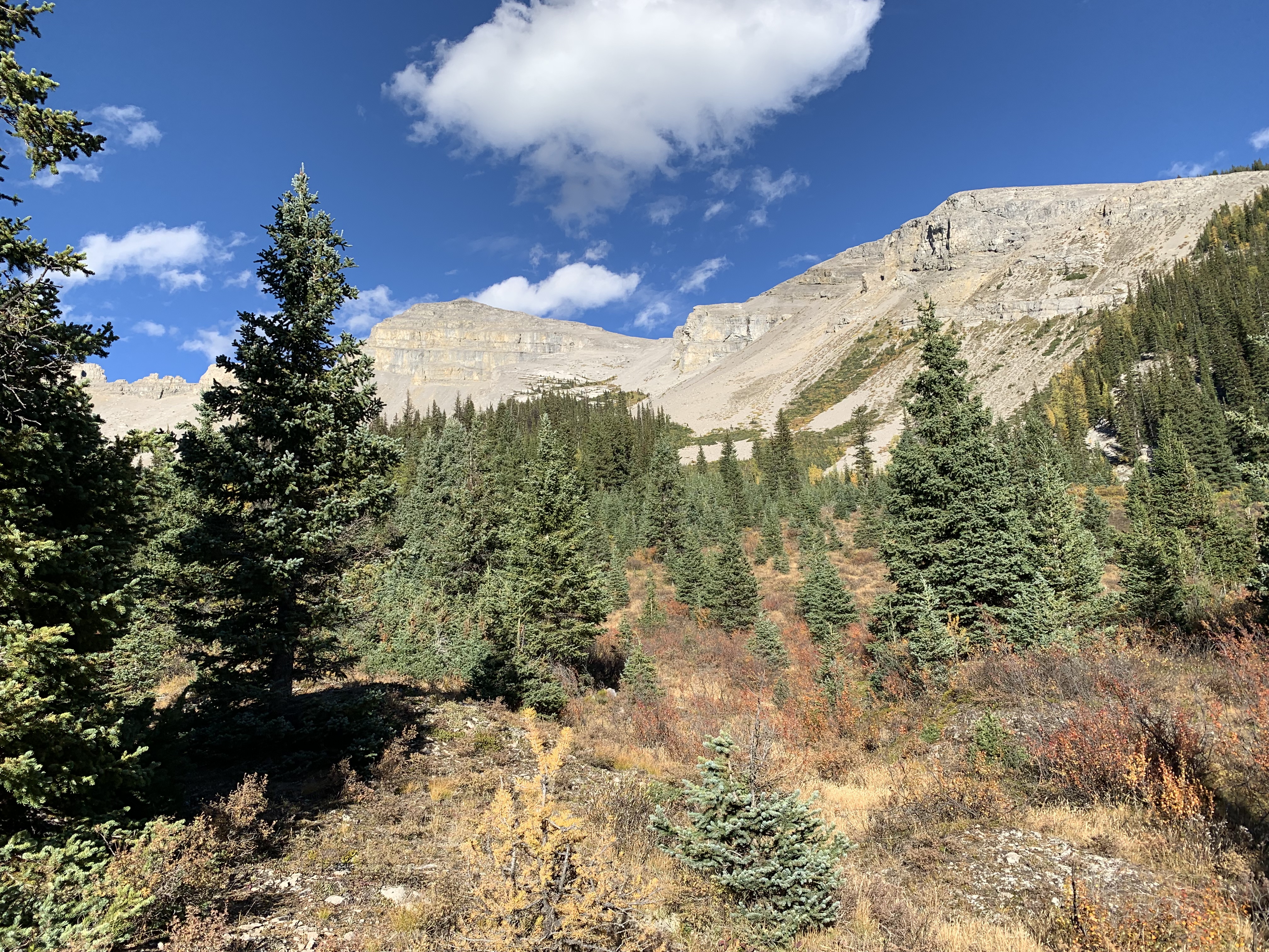 Hiking straight up Windy Ridge 