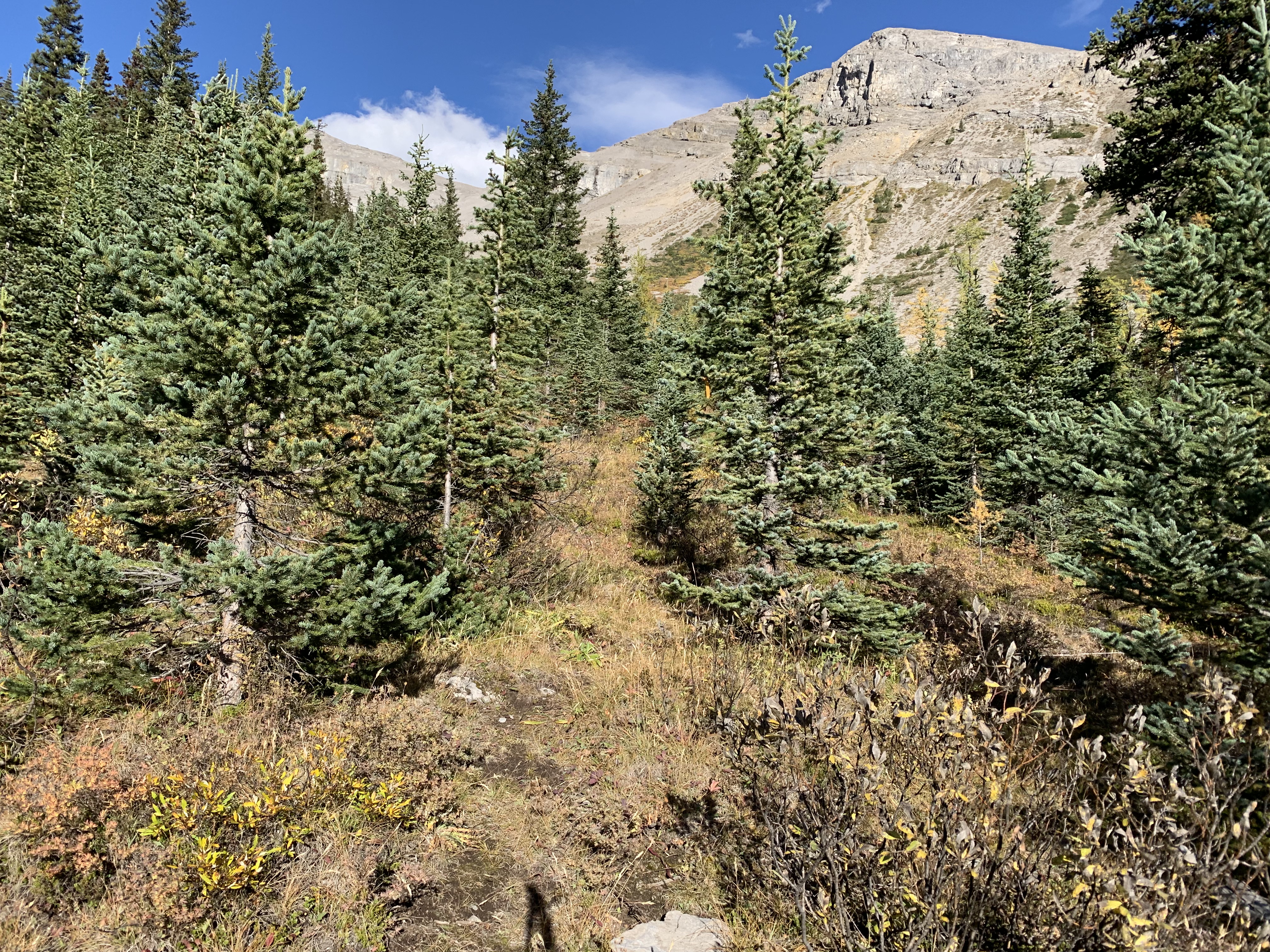 Hiking on the faint trail up Windy Ridge from Og Lake