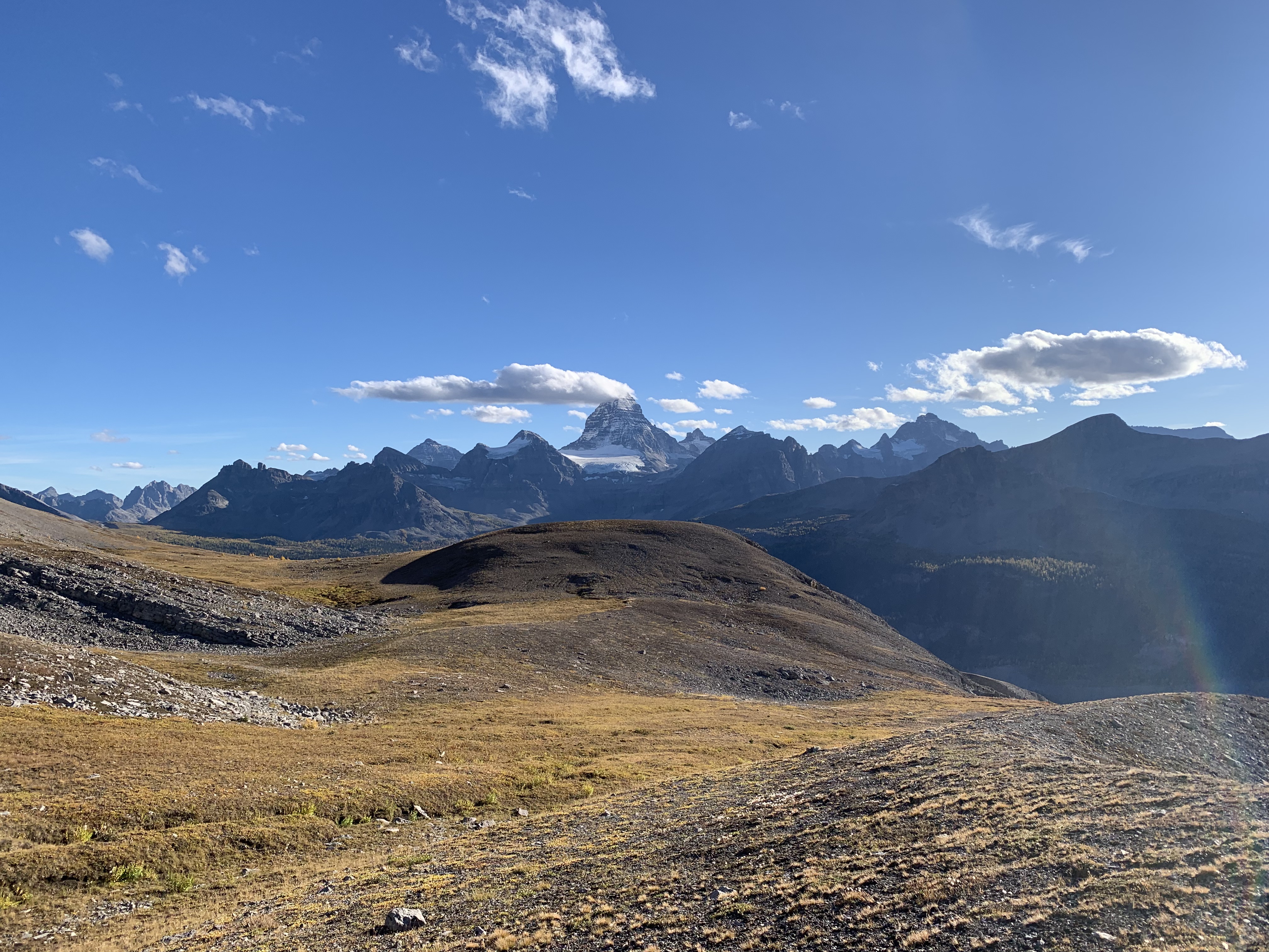 Mount Assiniboine over meadows from Windy Ridge from Og Lake