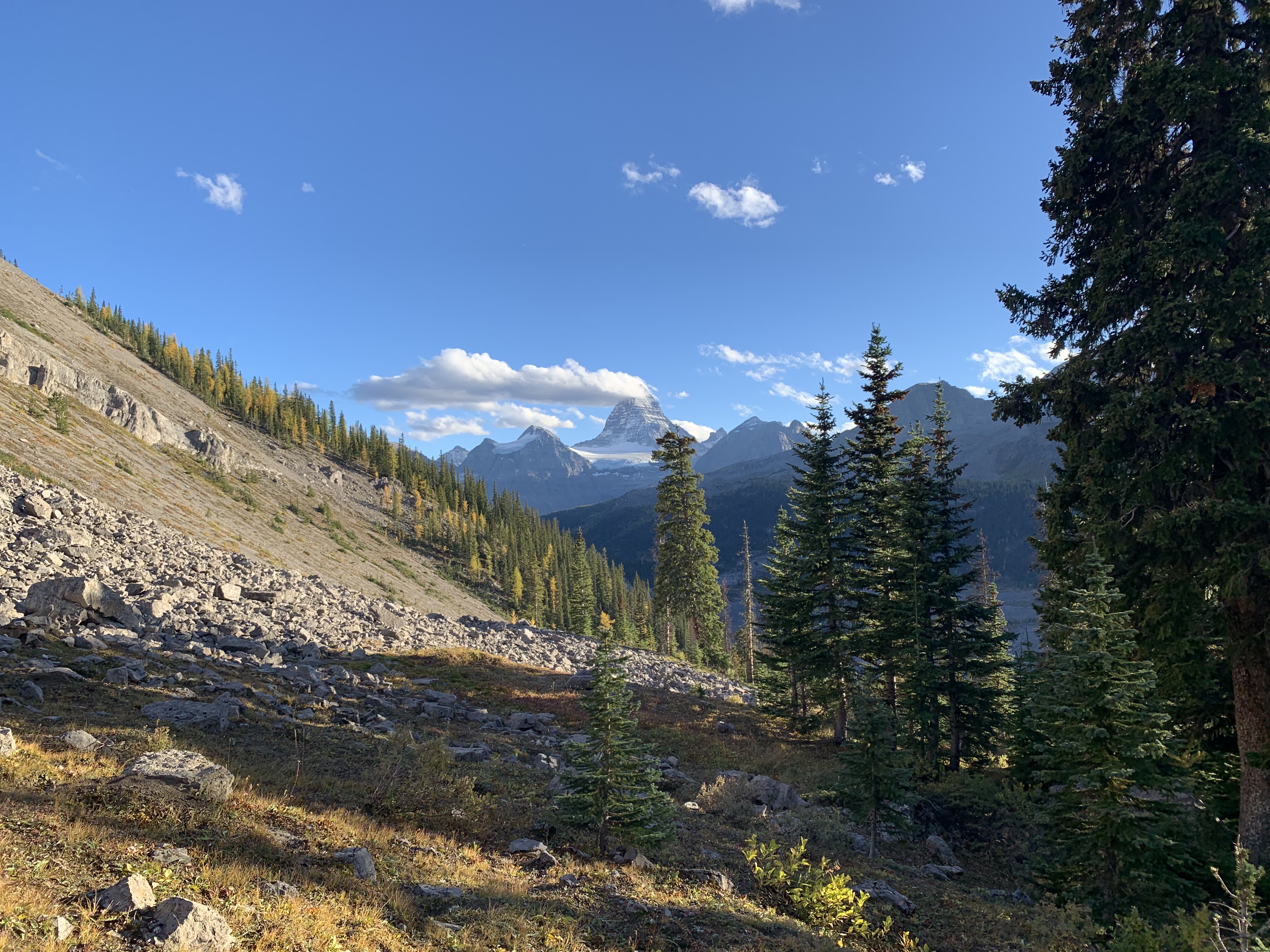 Assiniboine from Windy Ridge