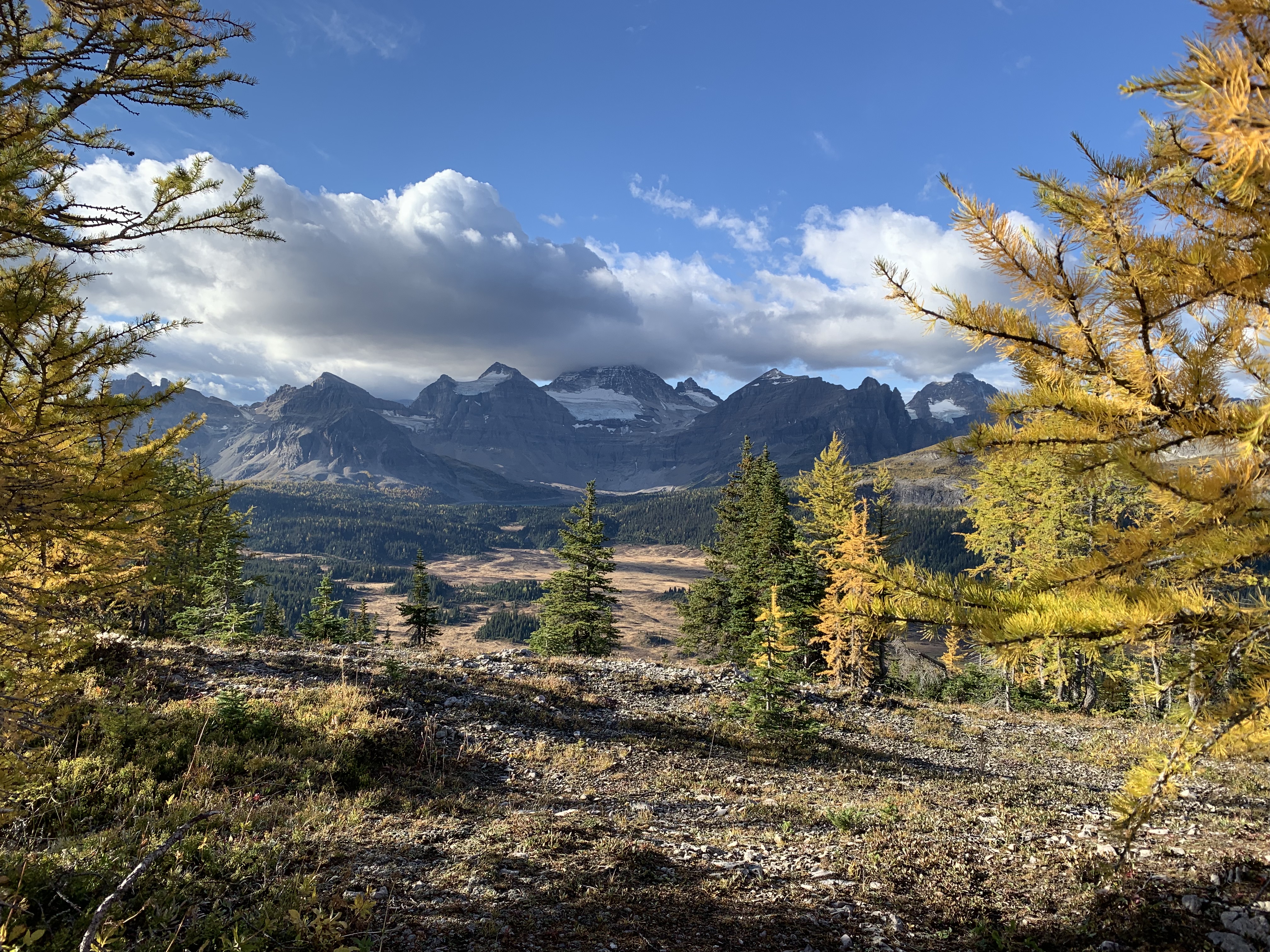 Mount Assiniboine from Cave Mountain