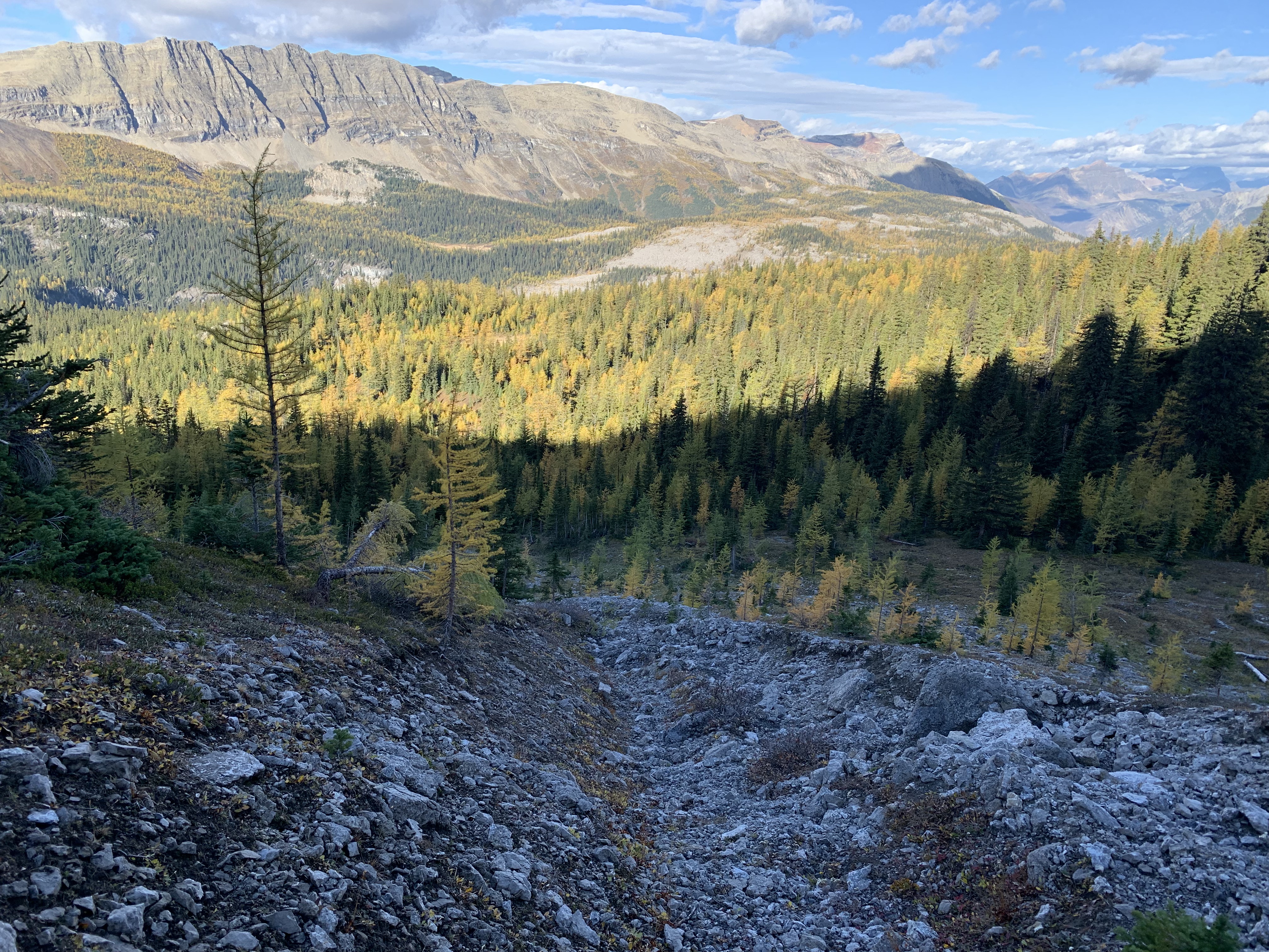 A creekbed leading down from Cave Mountain