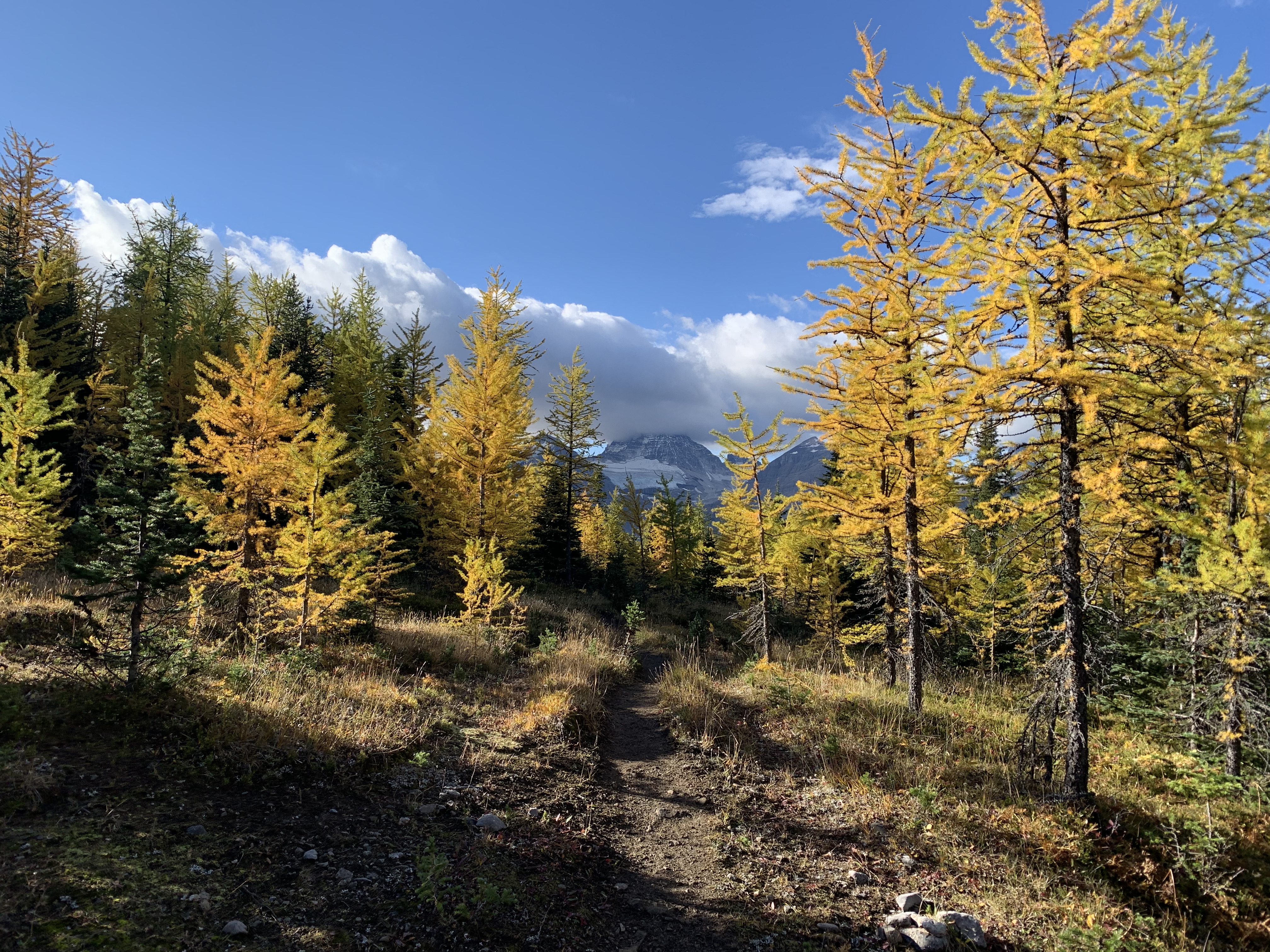 Back on the trail in no time and on our way back to camp. It looked a hell of a lot different in the light and definitely not as spooky.