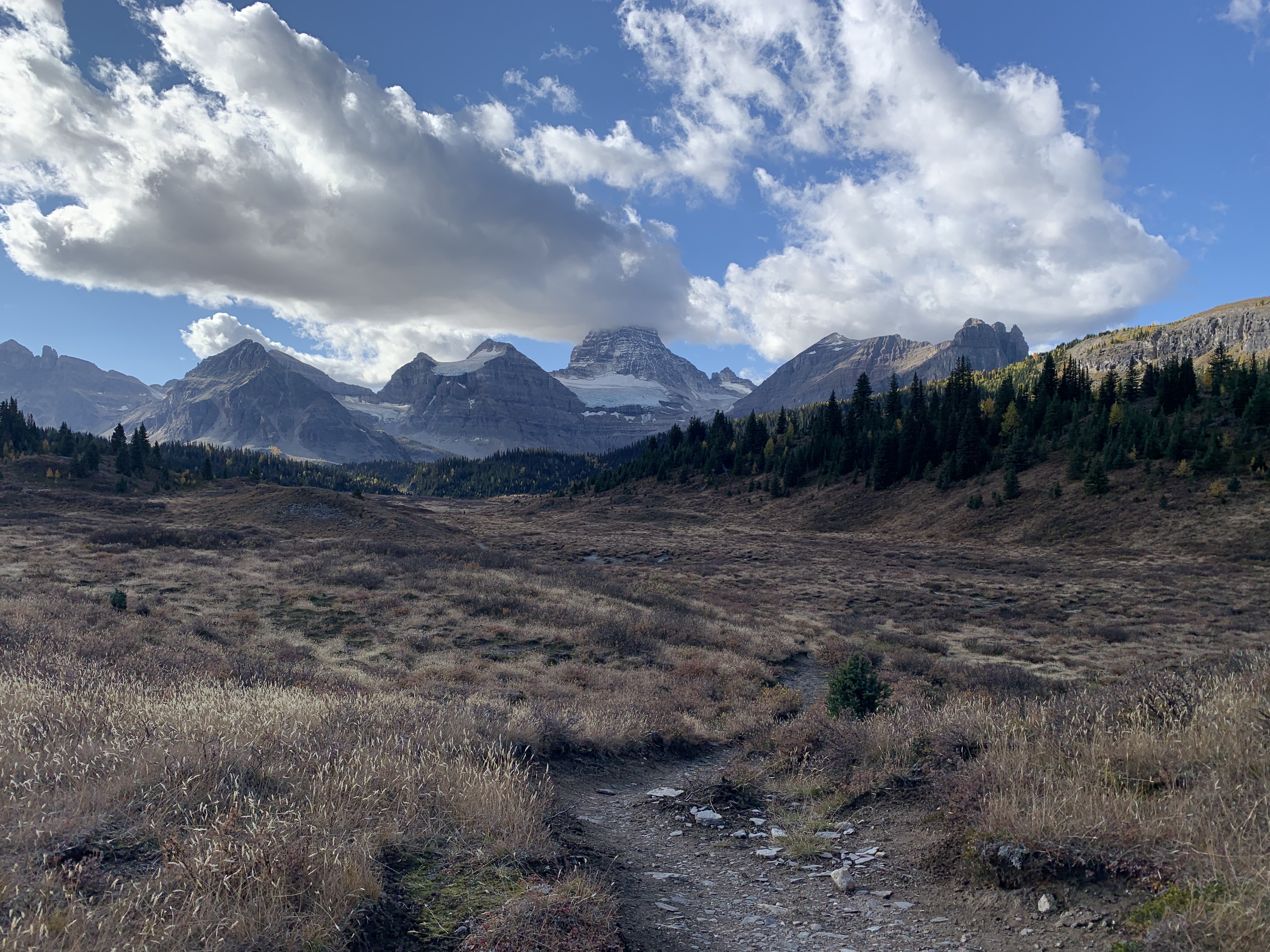 The long meadow on the way from Cave Mountain to Lake Magog