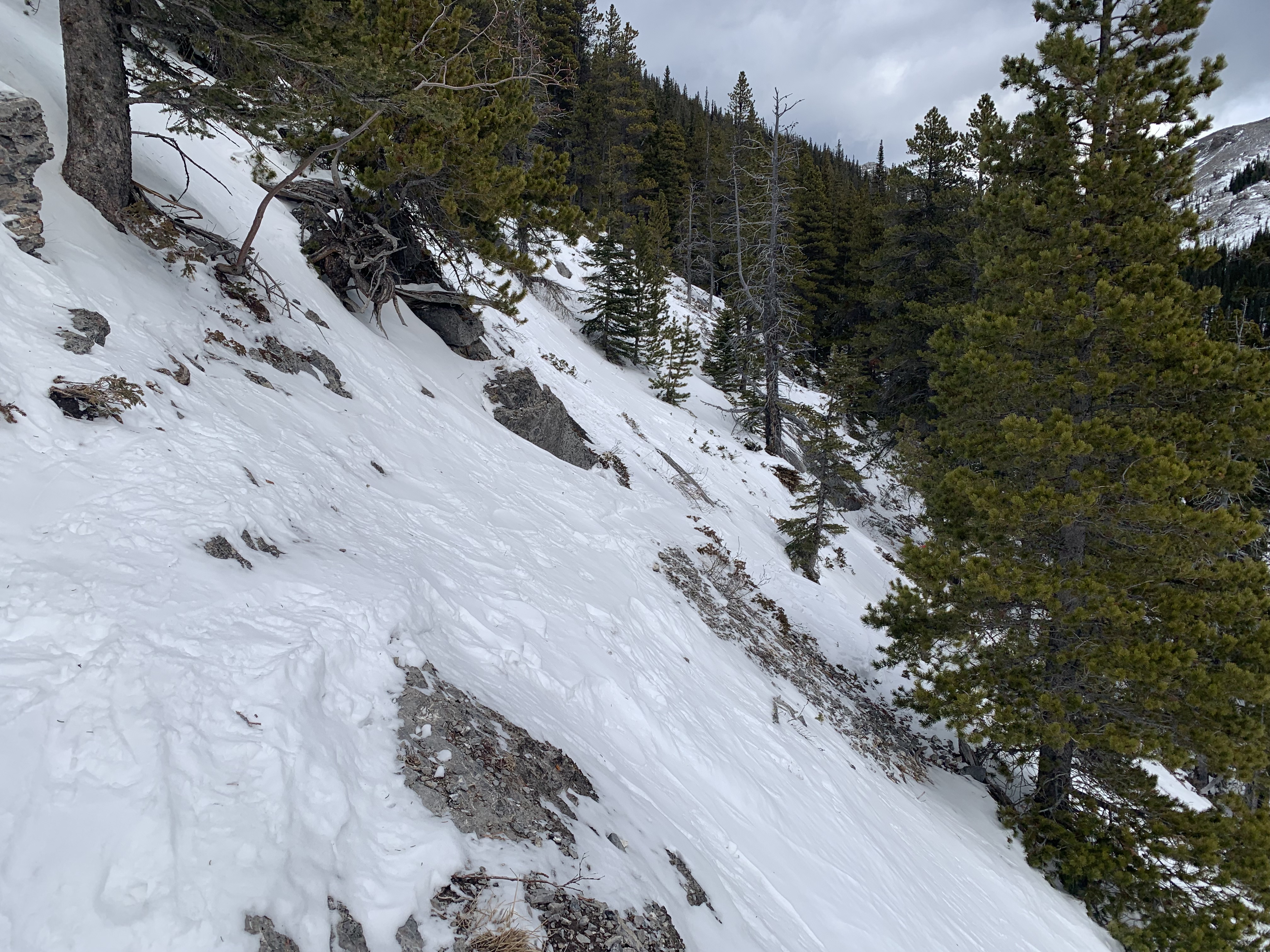 We got a bit lost and had to traverse here on the West Wind Pass Trail. We eventually regained the trail but wasted a bit of precious time.