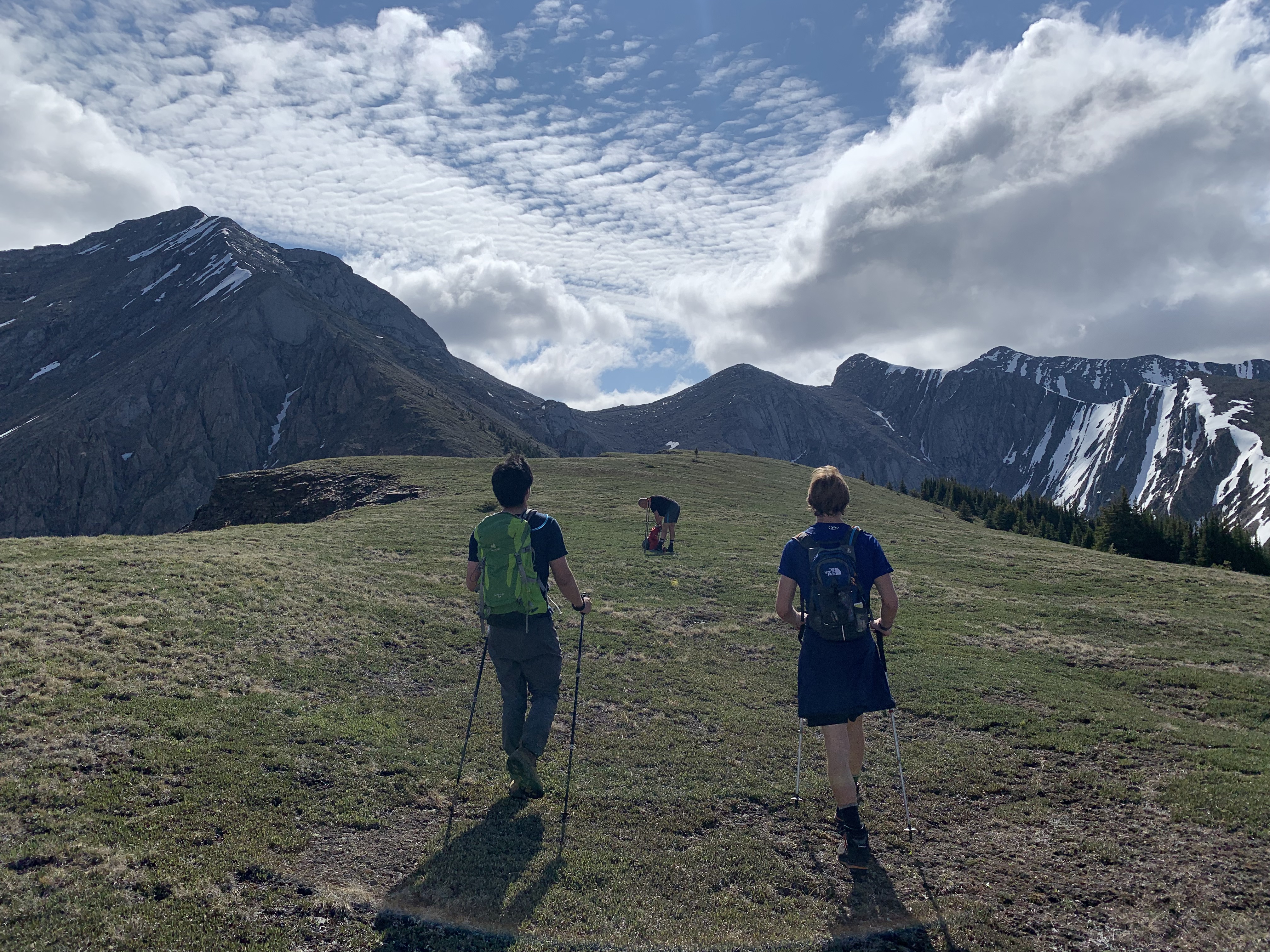 Walking through an alpine meadow on Old Baldy Ridge