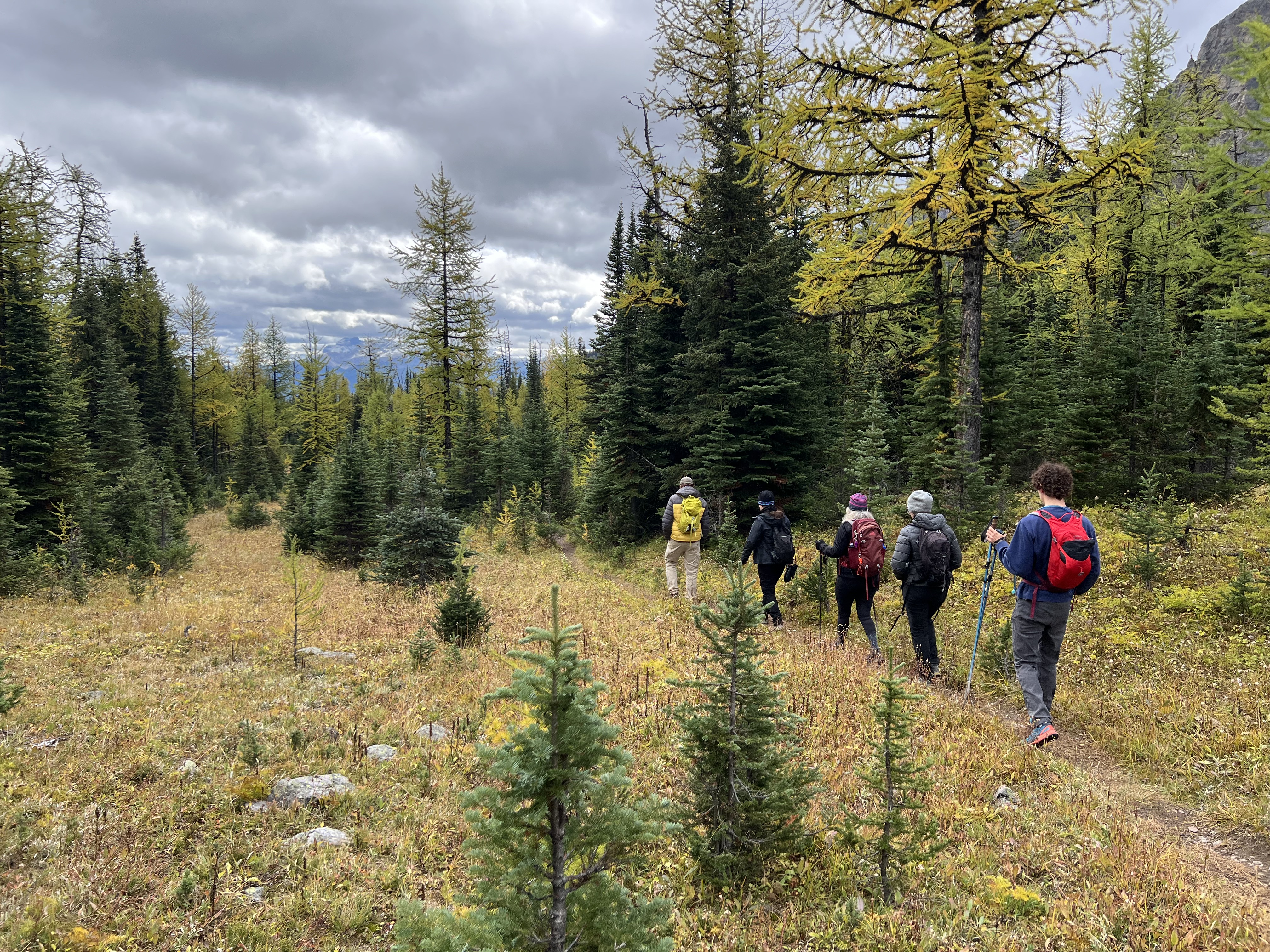 Heading down from the meadows above Taylor Lake