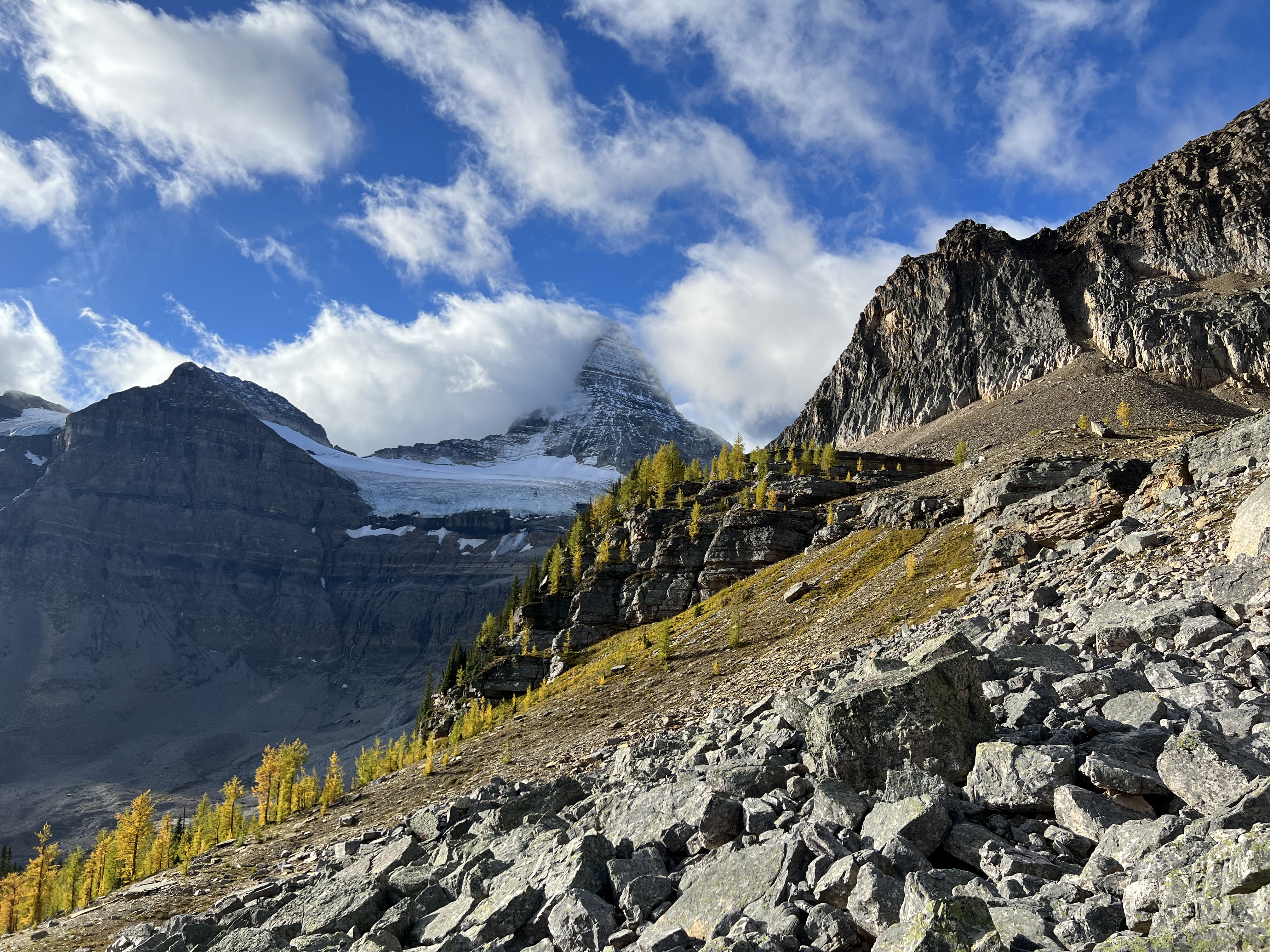 Mighty Mount Assiniboine over golden larches on Sunburst Peak