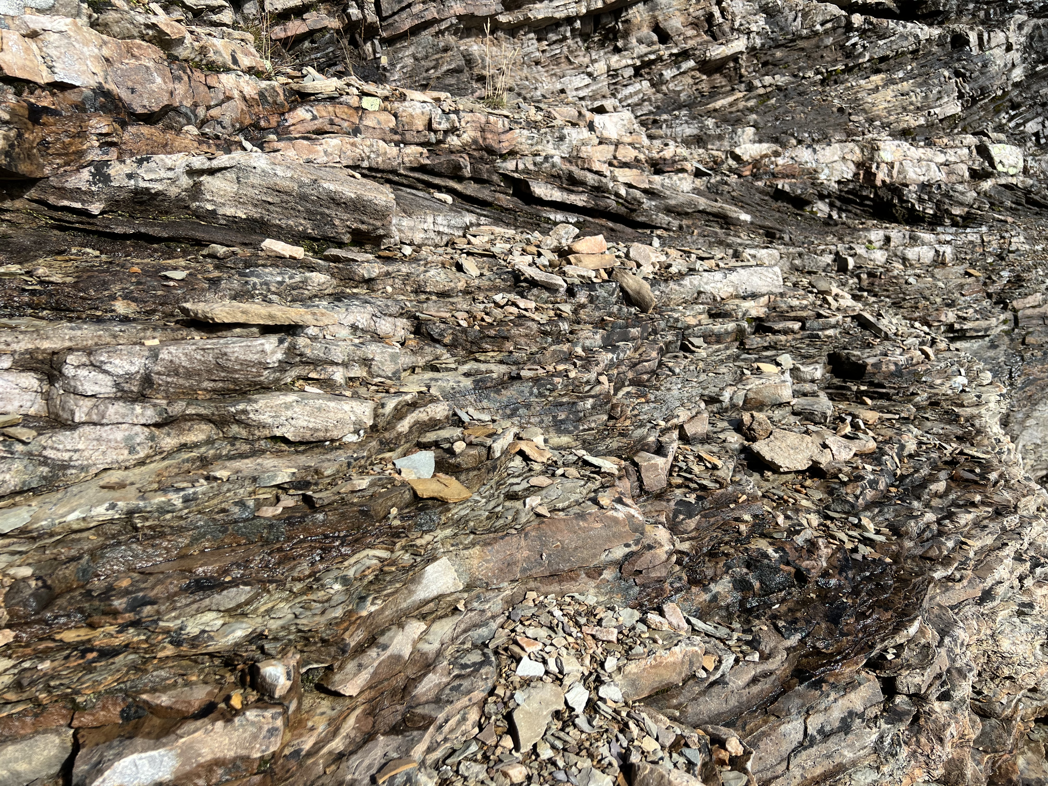 Chossy ledges on Sunburst Peak