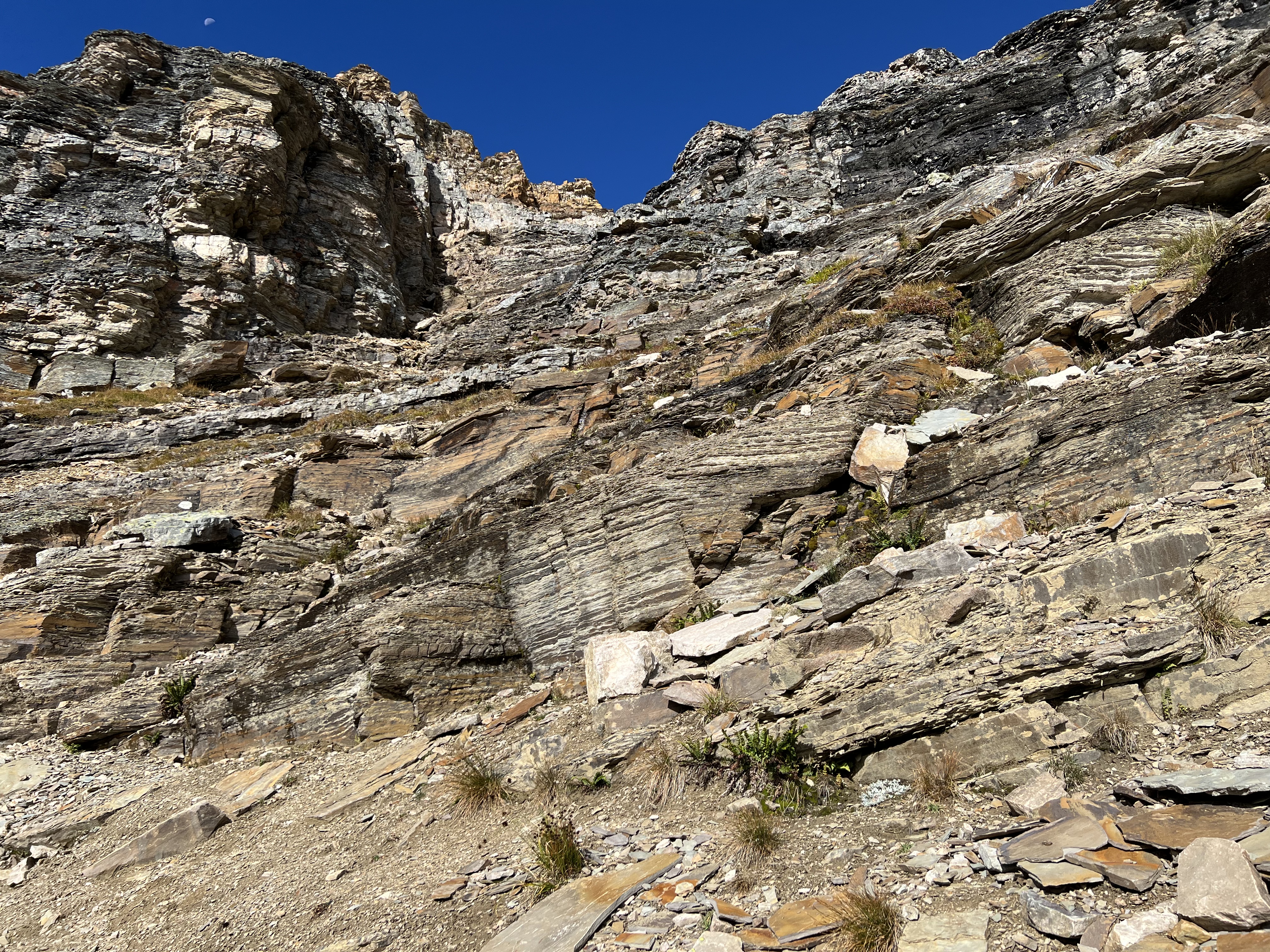 Looking back up an alternate descent from Sunburst Peak