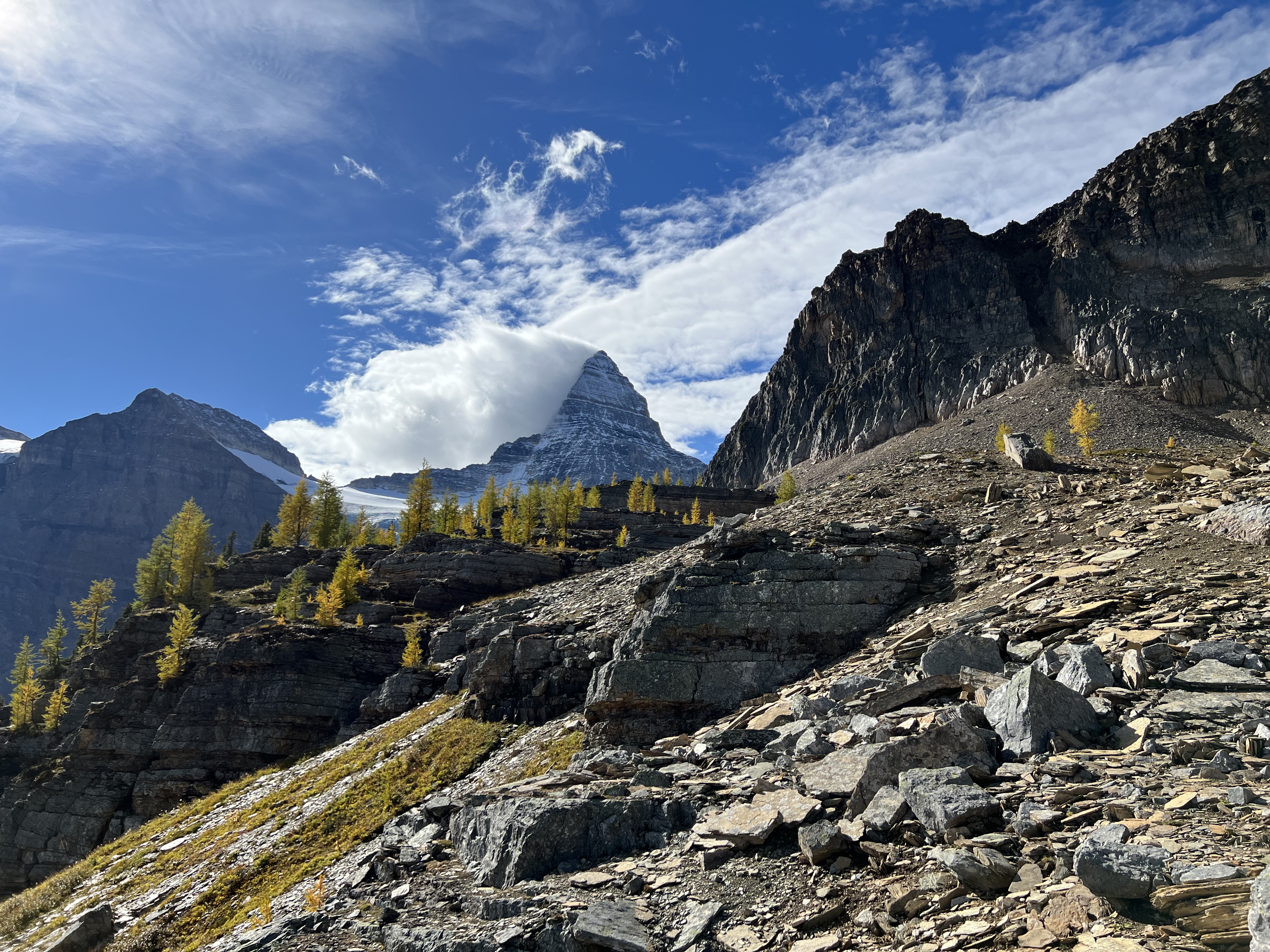 Larches and Mount Assiniboine from Sunburst Peak