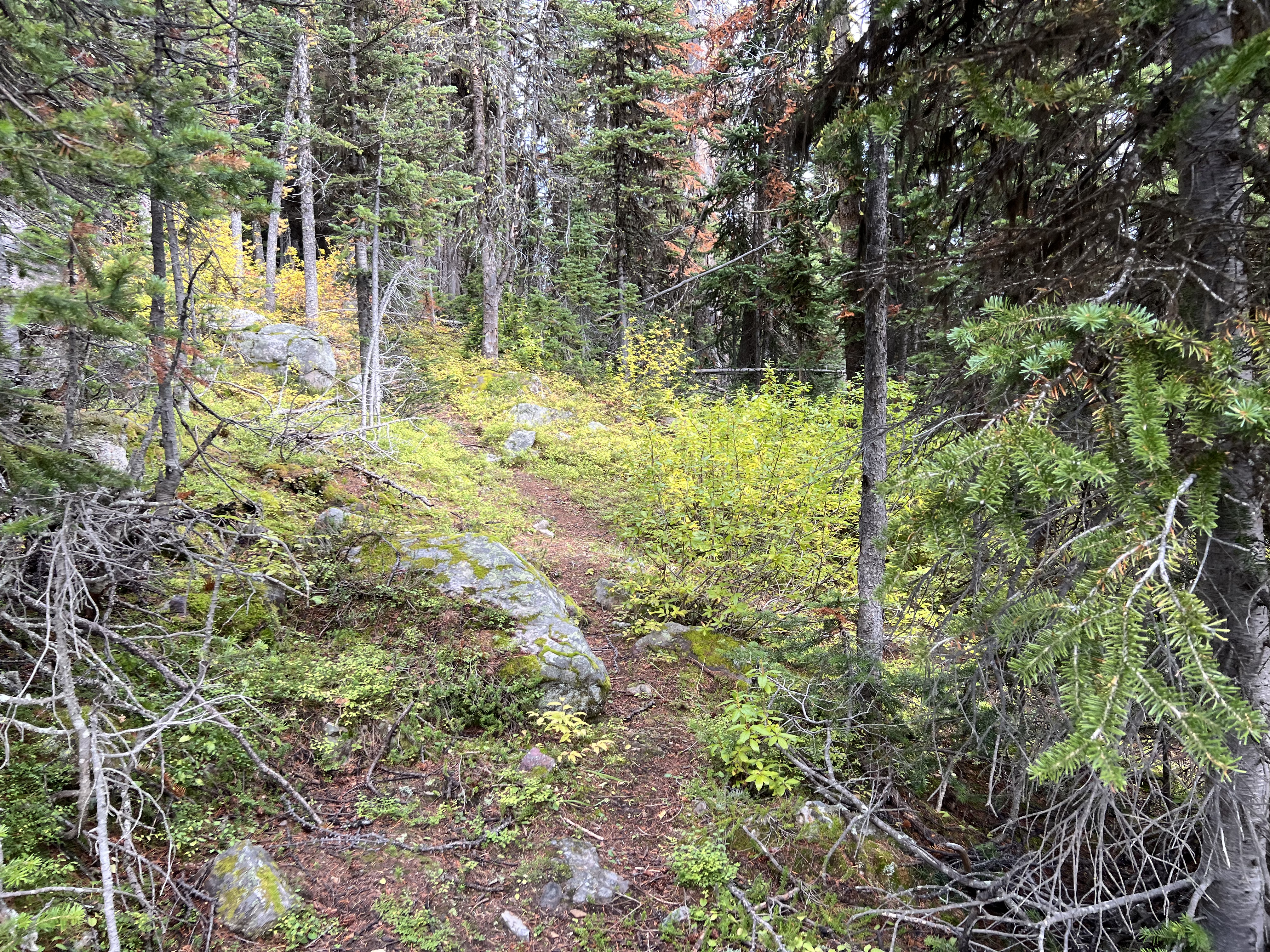 A faint trail leading down from Sunburst Peak