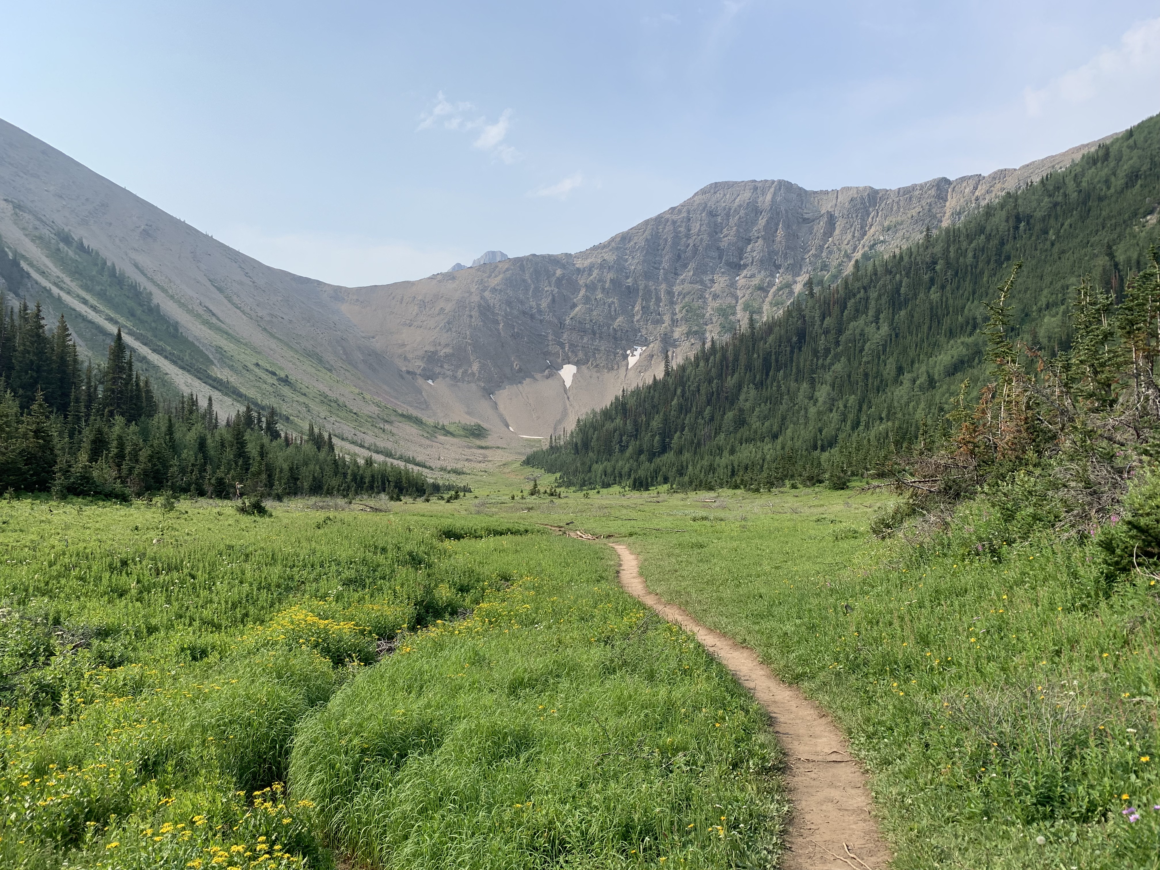 Such a beautiful meadow. It would even be nice to just hike just up to here. The trail turns left soon and heads up to the ridge at left. The true summit of Tent Ridge looks impressive ahead.