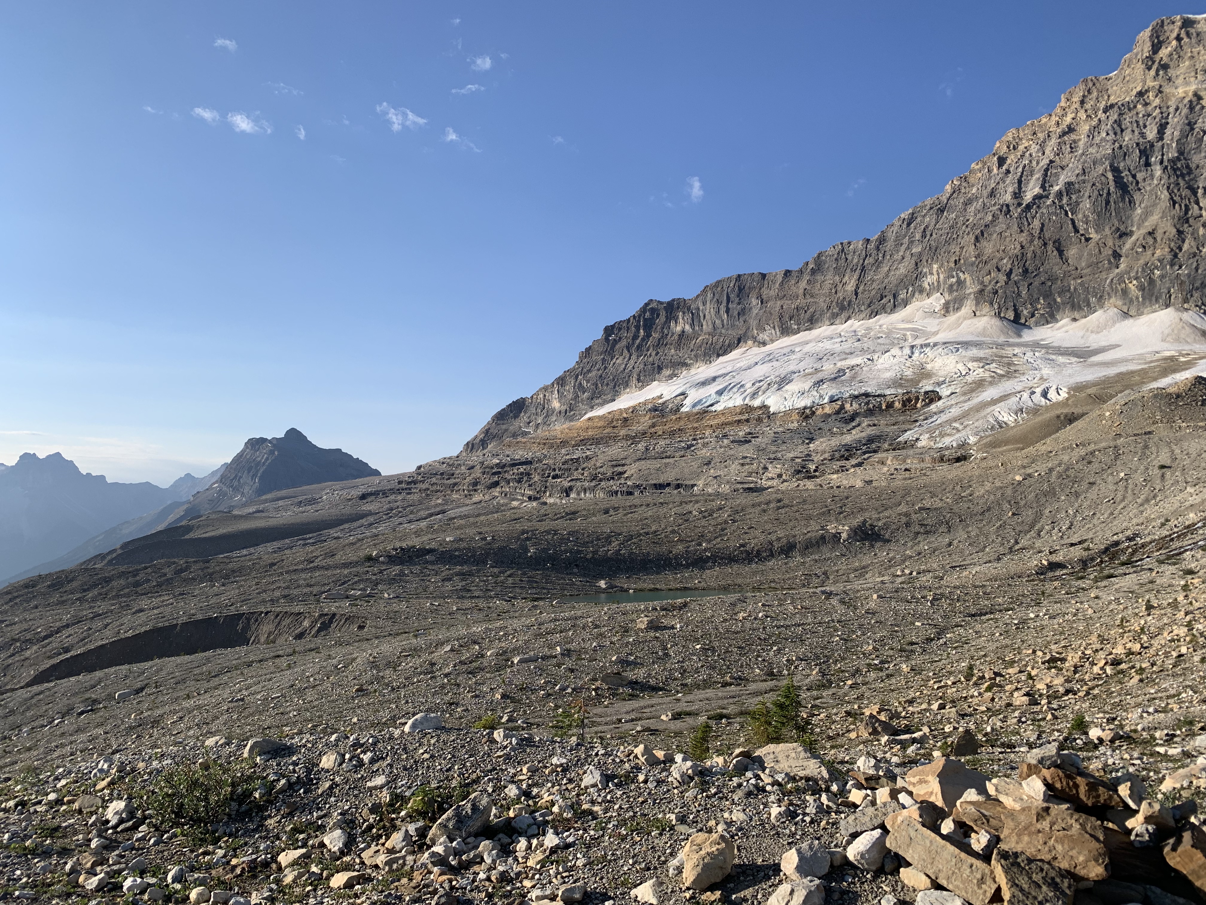 A view from the Iceline Trail