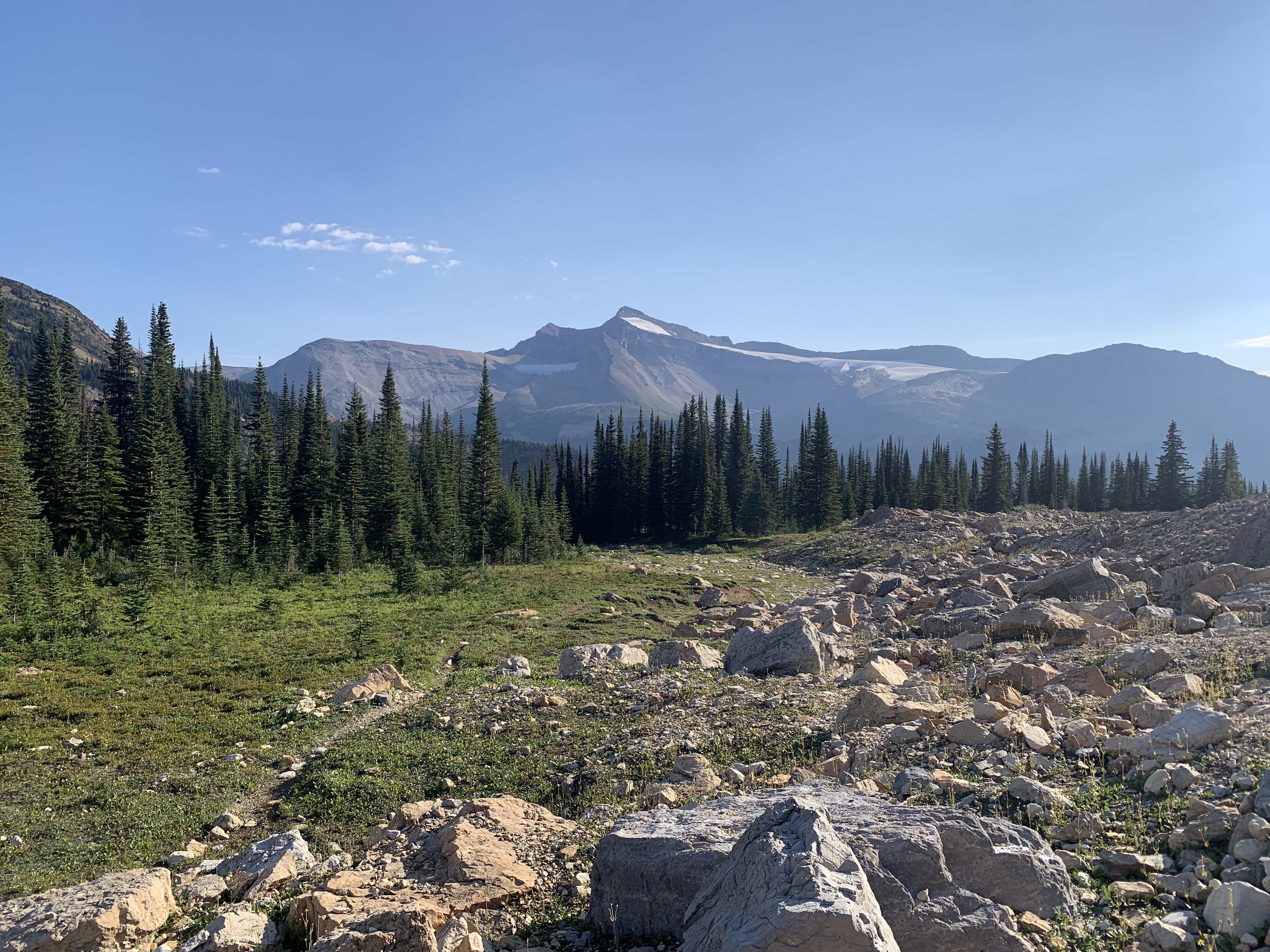 Mount Balfour over trees from the Iceline Trail