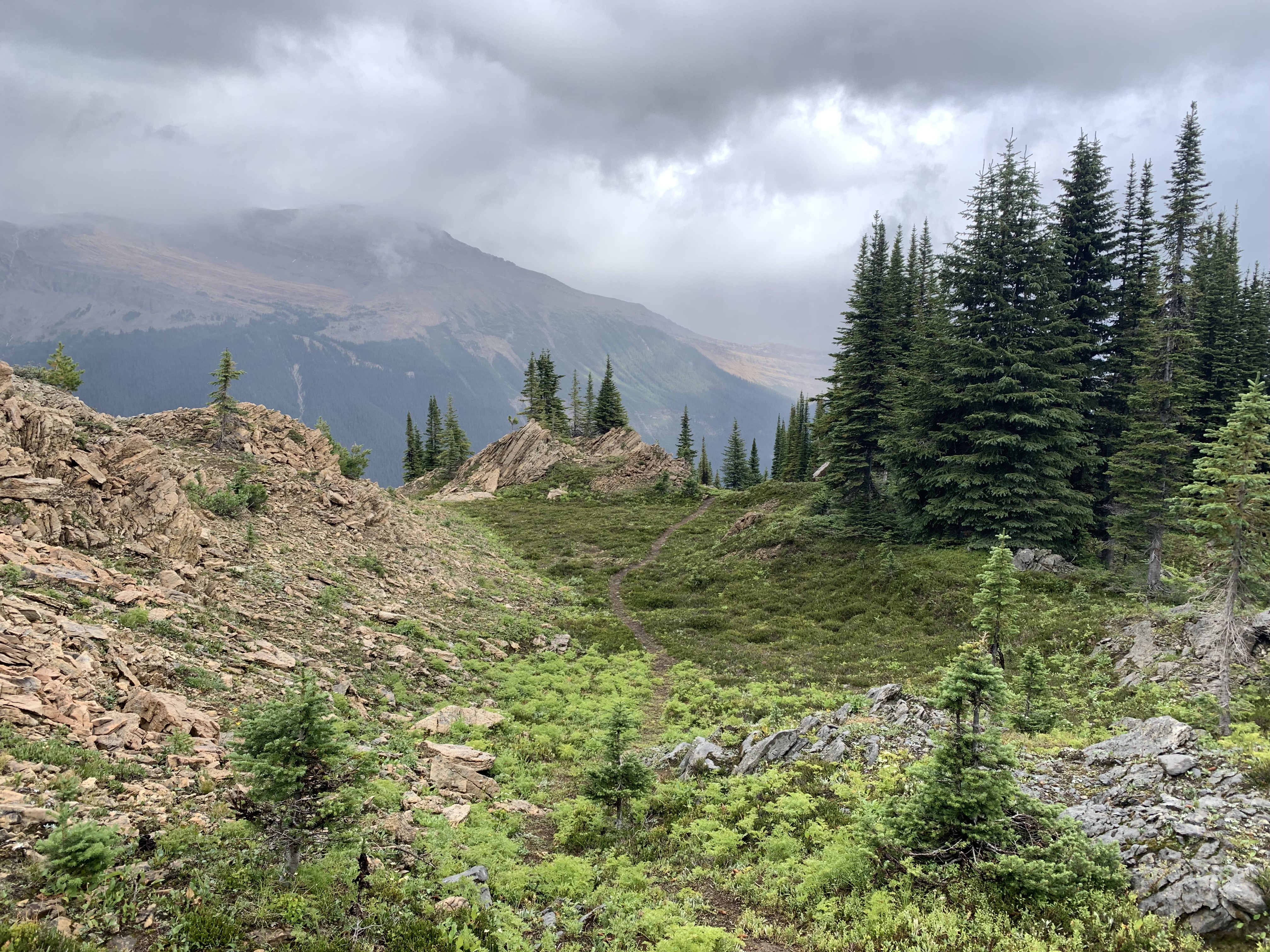 A trail leading from Whaleback Mountain to The Whaleback (trail)