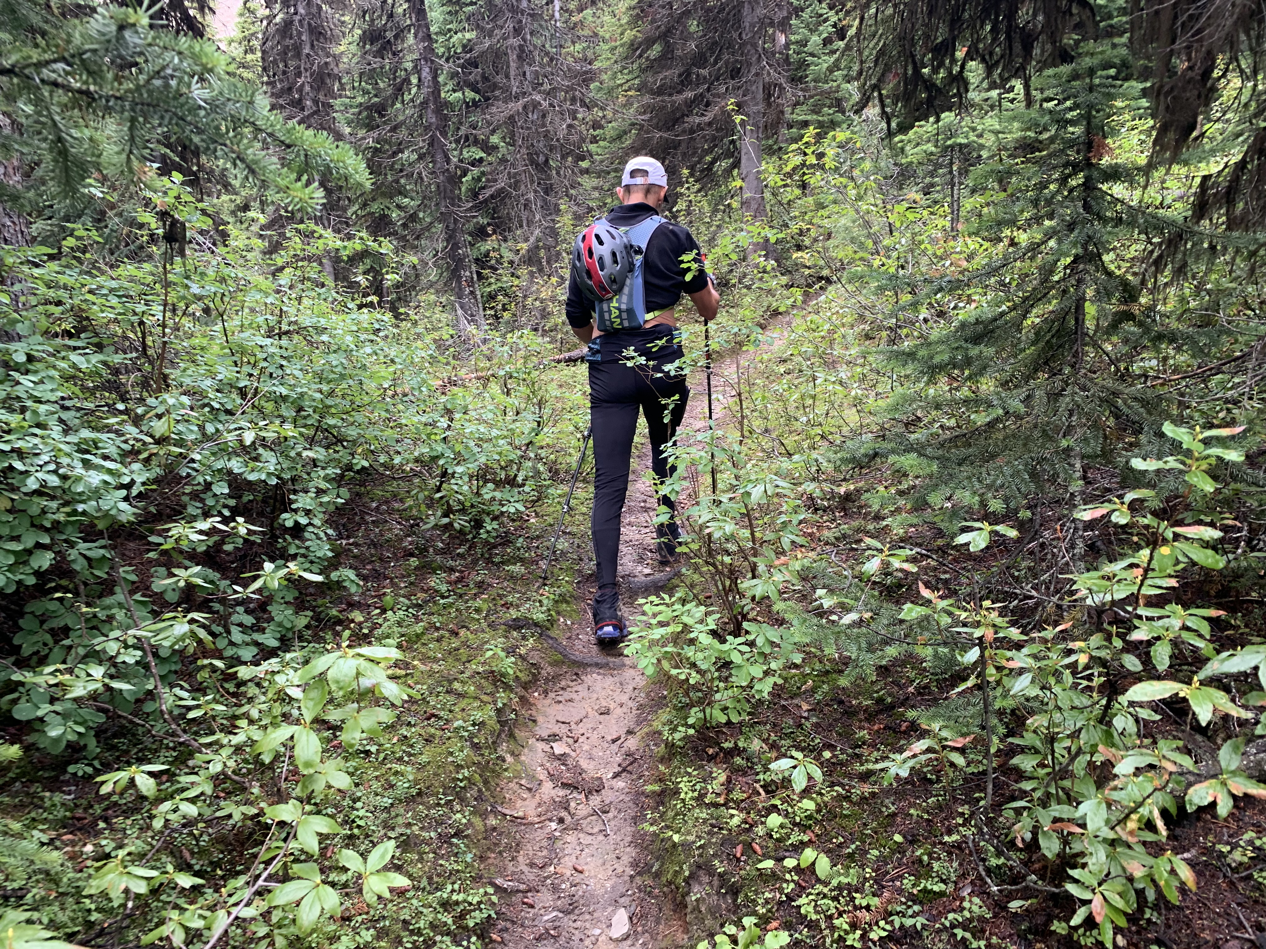 Switchbacks on the Burgess Pass Trail