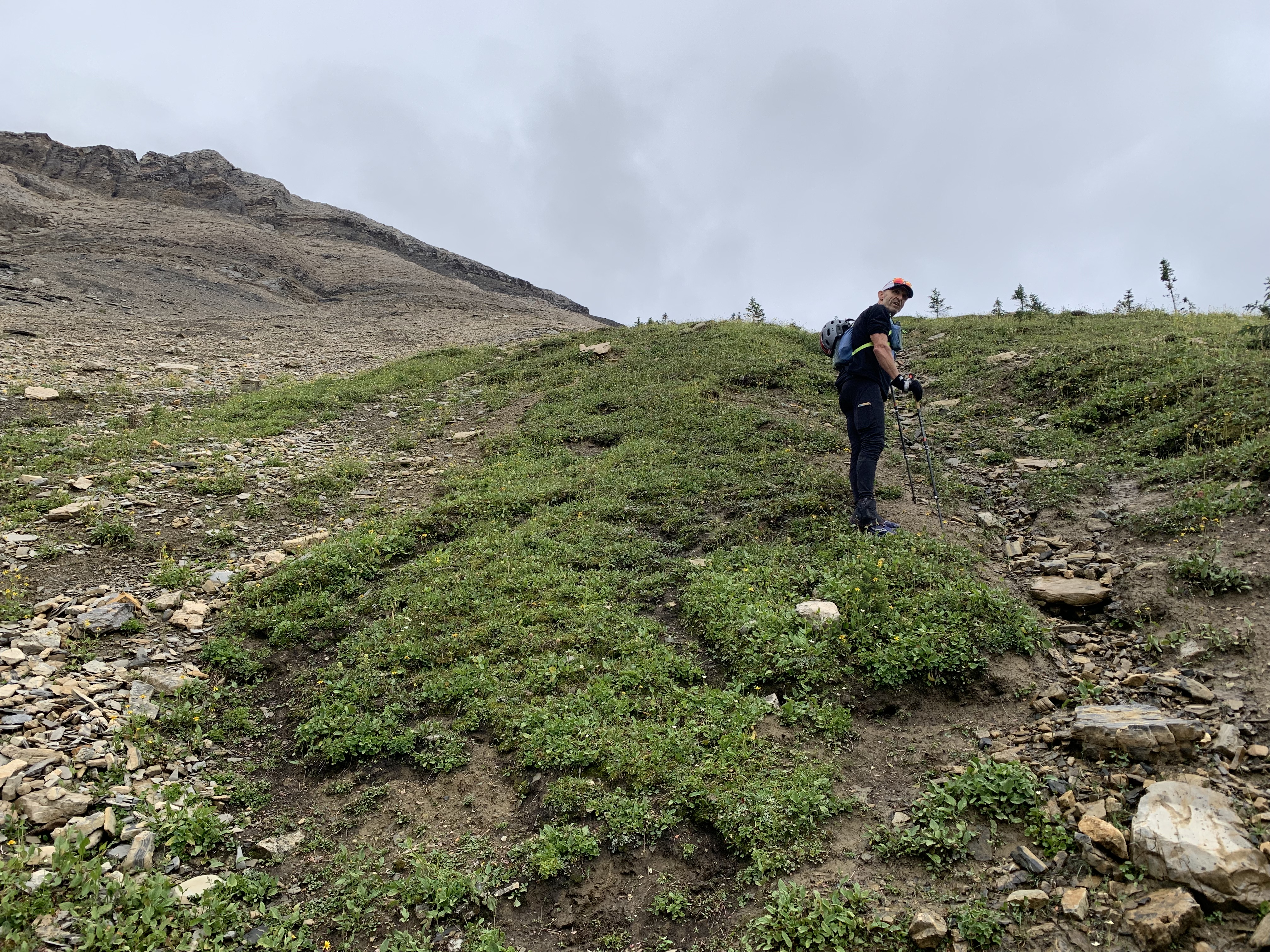 Grassy slopes on the ascent of Mount Field