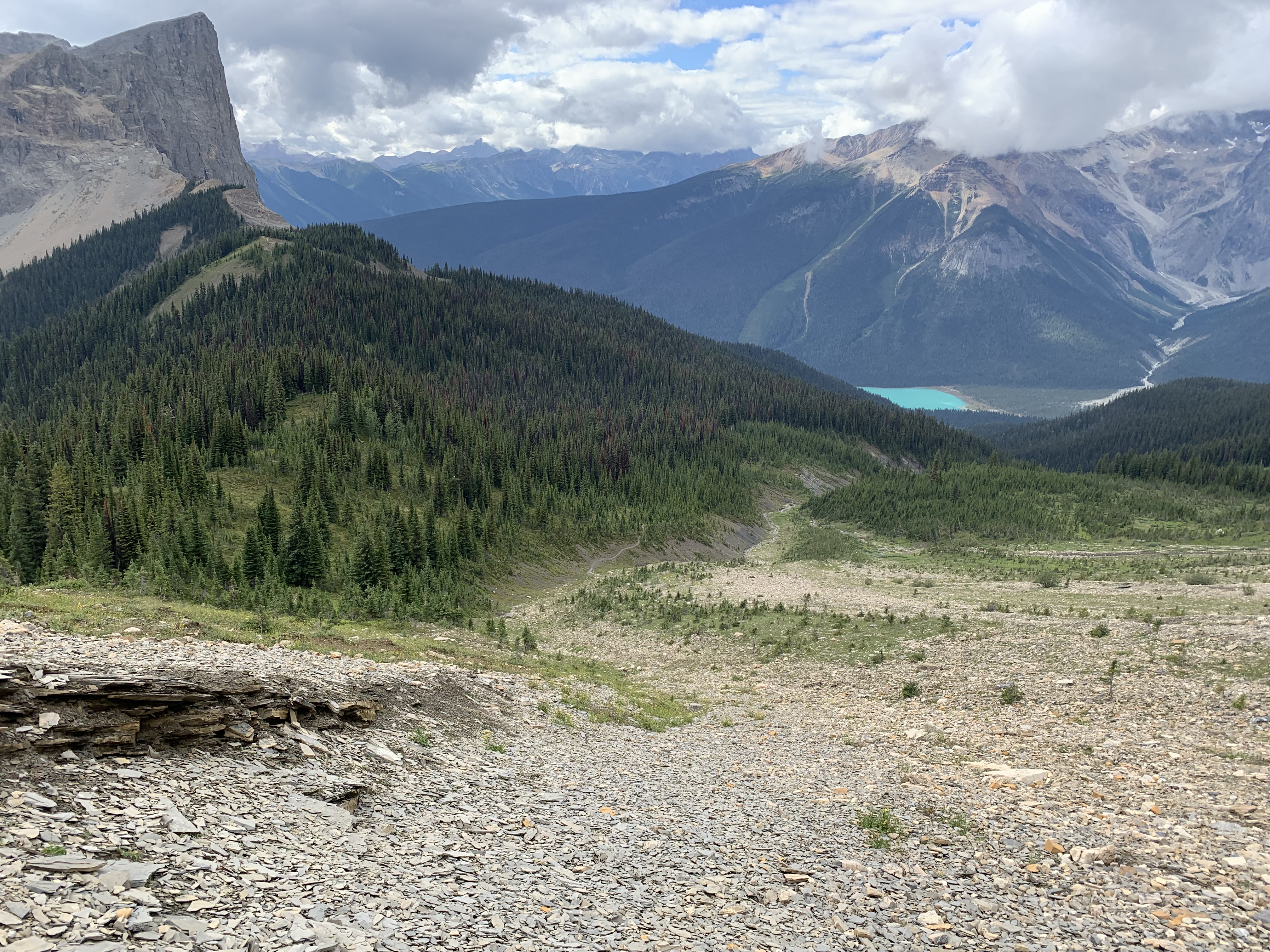 Almost back to the Mount Field Trail