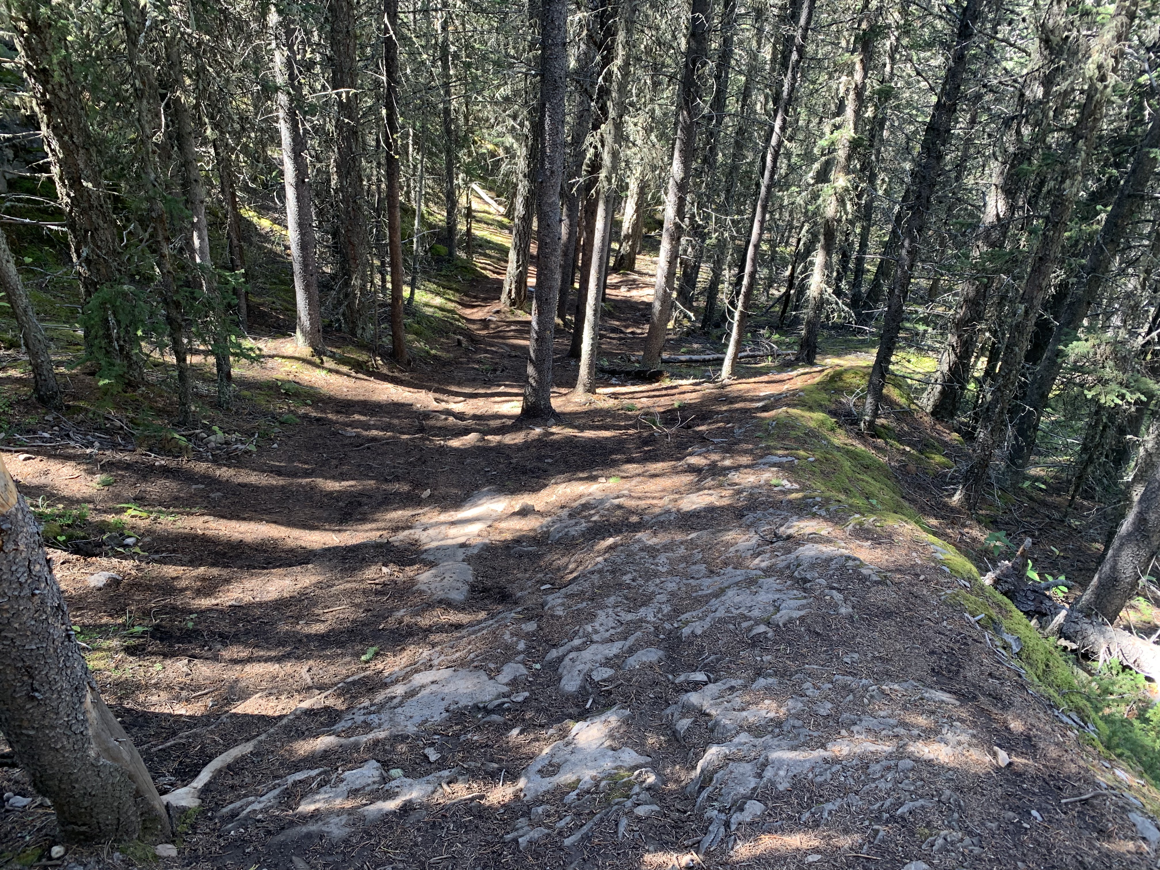 The descent from Stoney Squaw Mountain