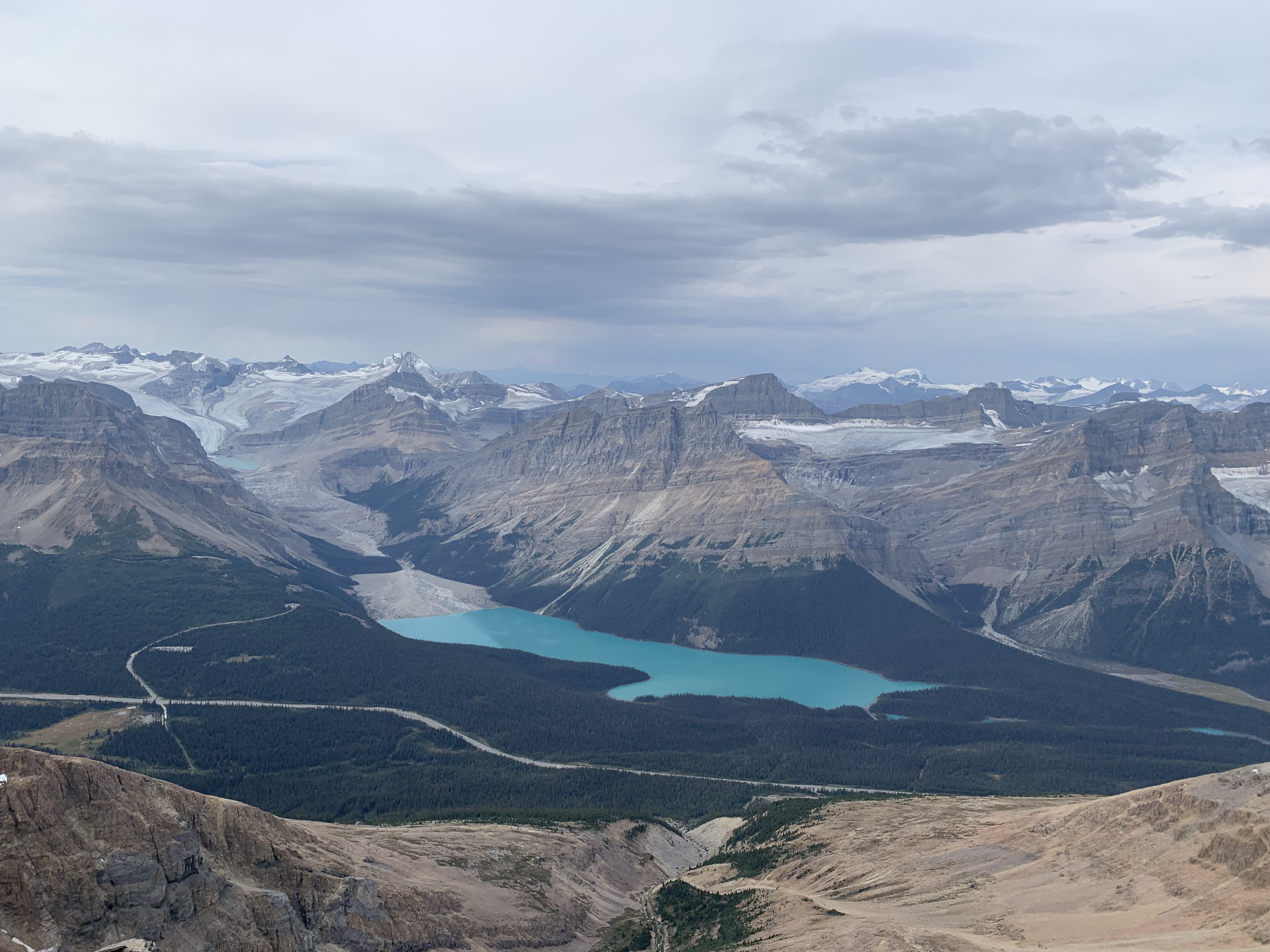 Peyto Lake From Observation Peak