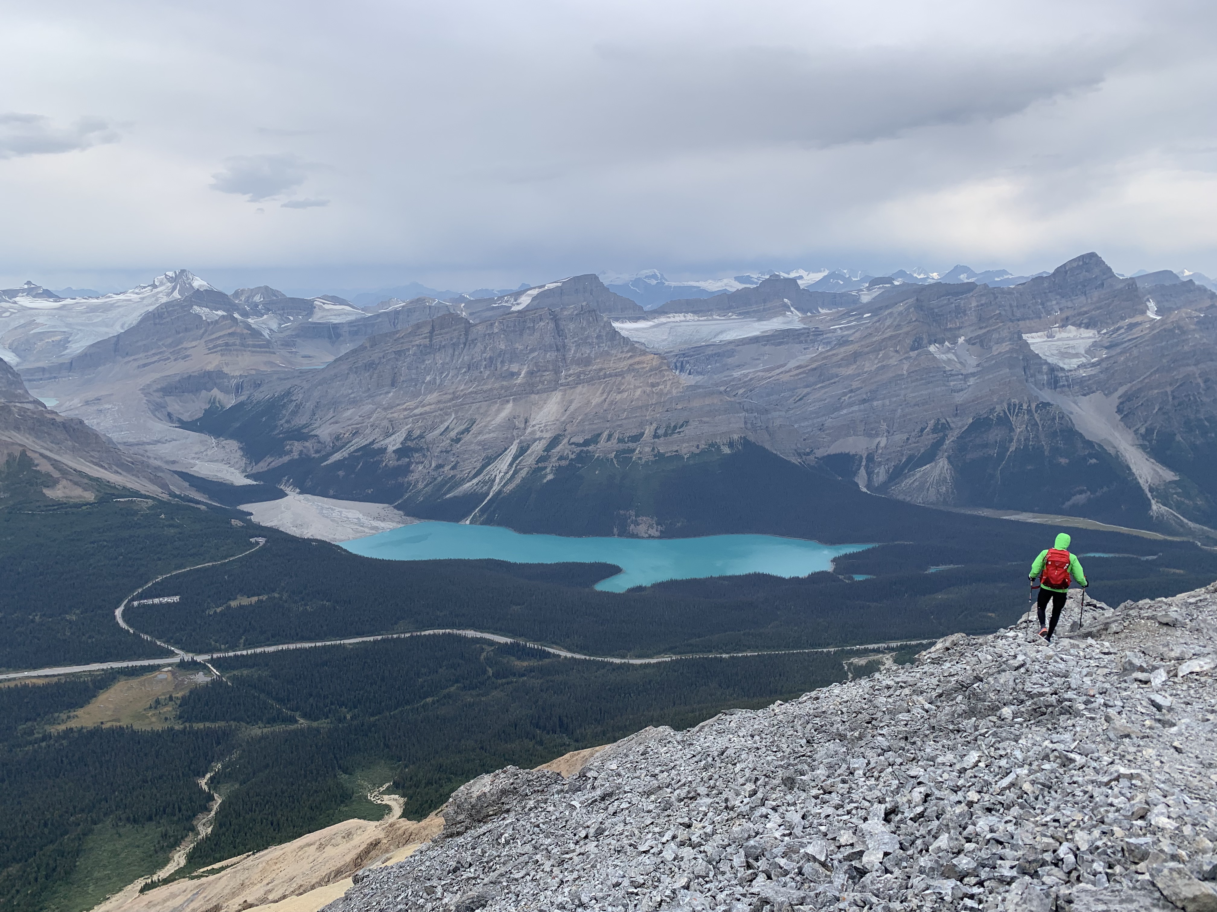 Peyto Lake from the false summit of Observation Peak