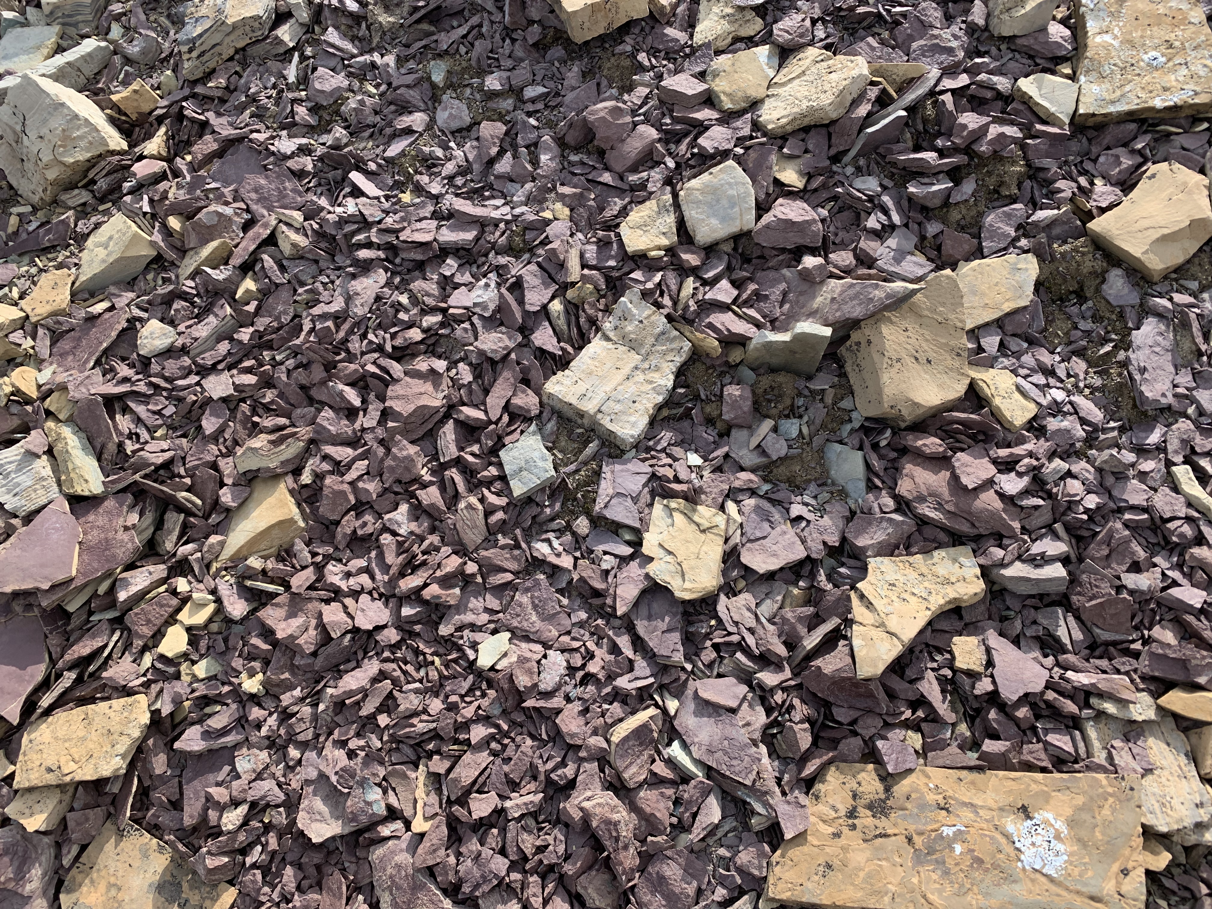 Purple rocks on an outlier of Observation Peak