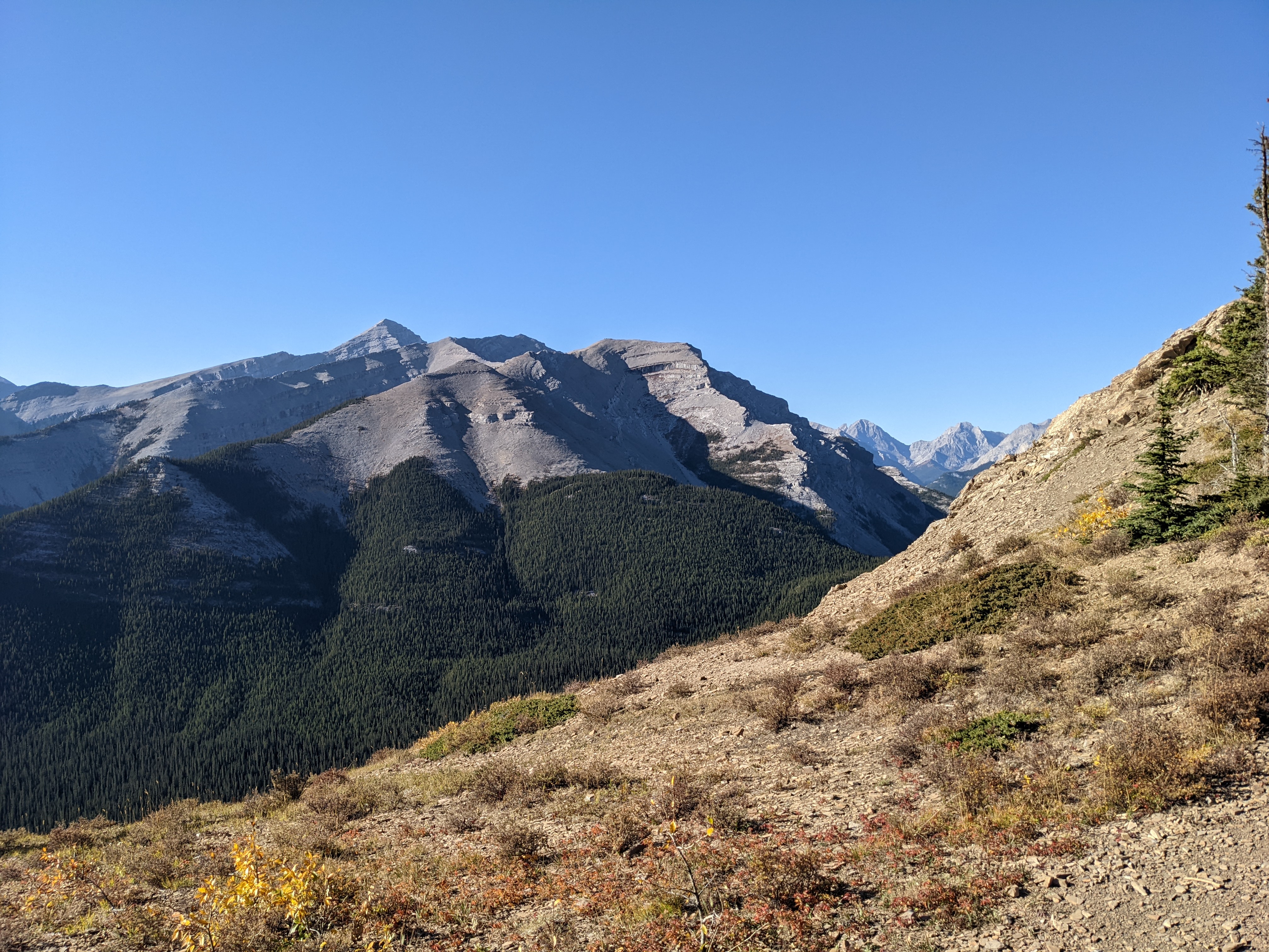 Looking over at the Elbow Loop peaks from Nihahi Ridge, this is roughly where you could start gaining the ridge (recommended), but we continued over to the right.