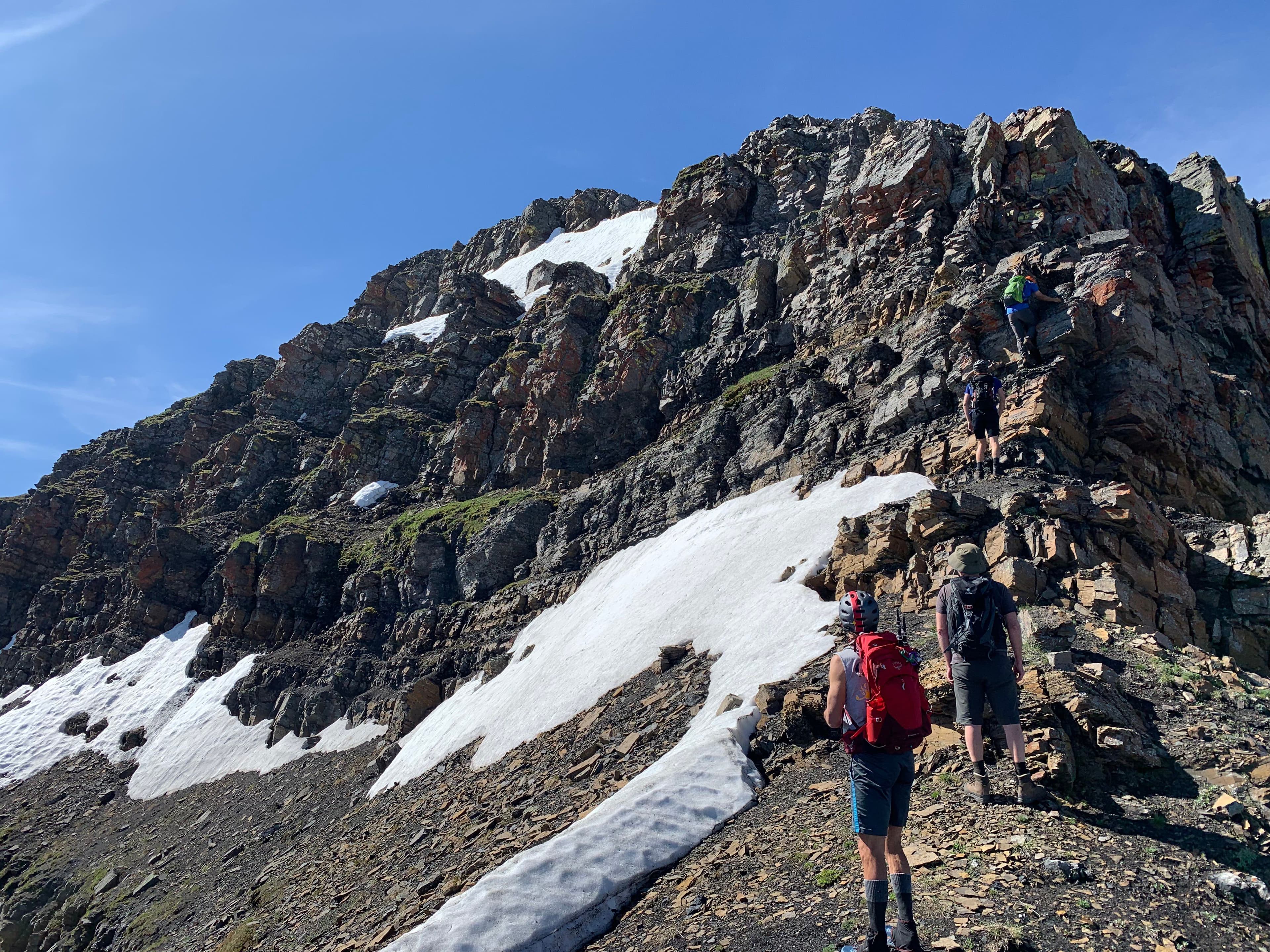 Scrambling on Mount Collembola