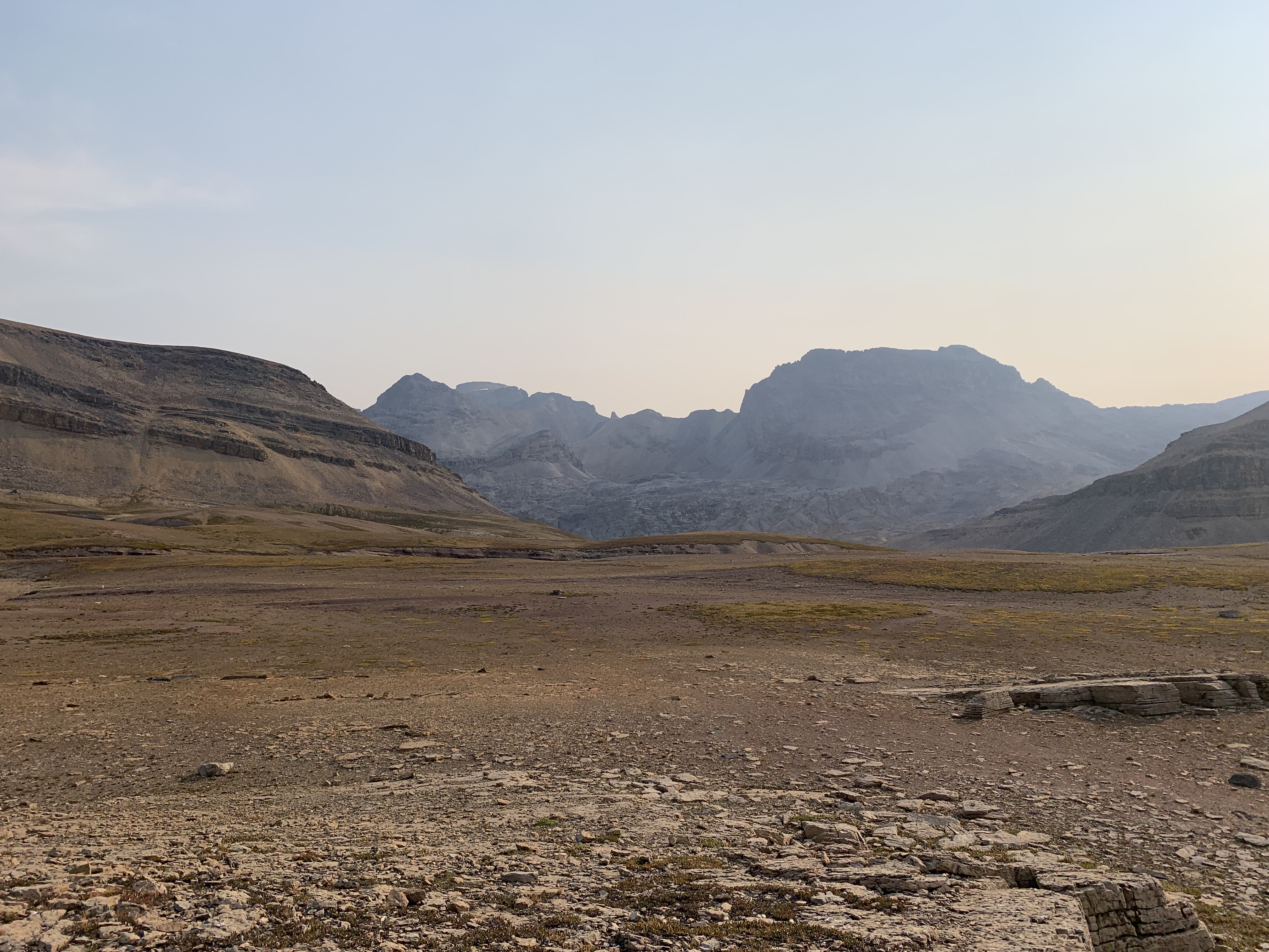 The alpine meadow below Cirque Peak