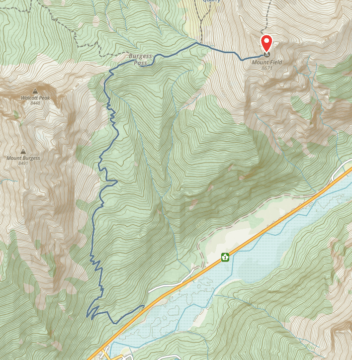 Mount Field and Burgess Pass Gaia GPS route